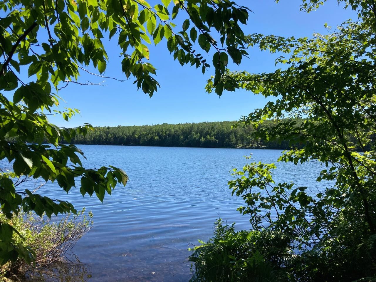 Blackwell, Forest County, WI Undeveloped Land, Lakefront Property, Waterfront Property