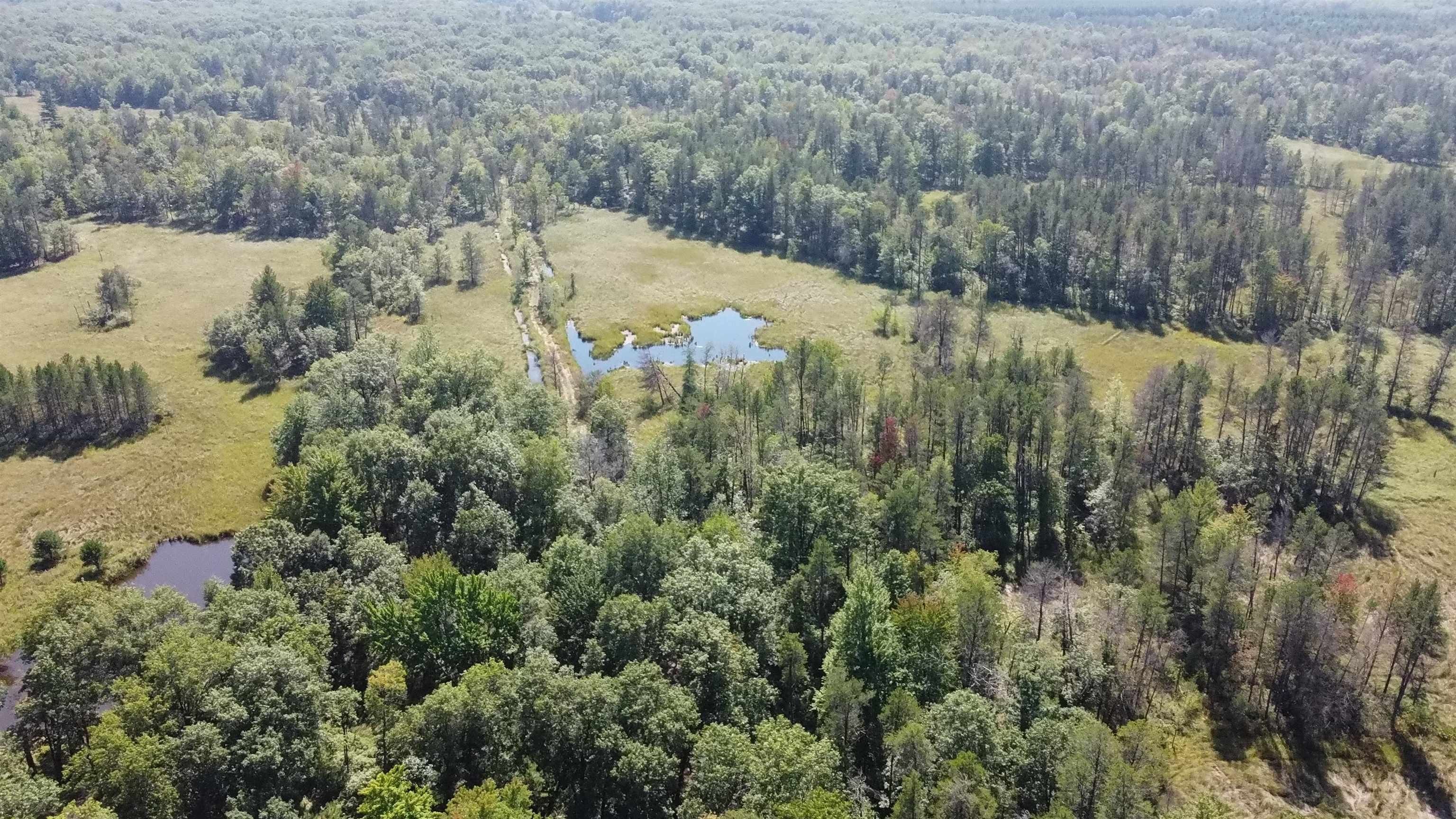New Lisbon, Juneau County, WI Undeveloped Land for sale Property ID