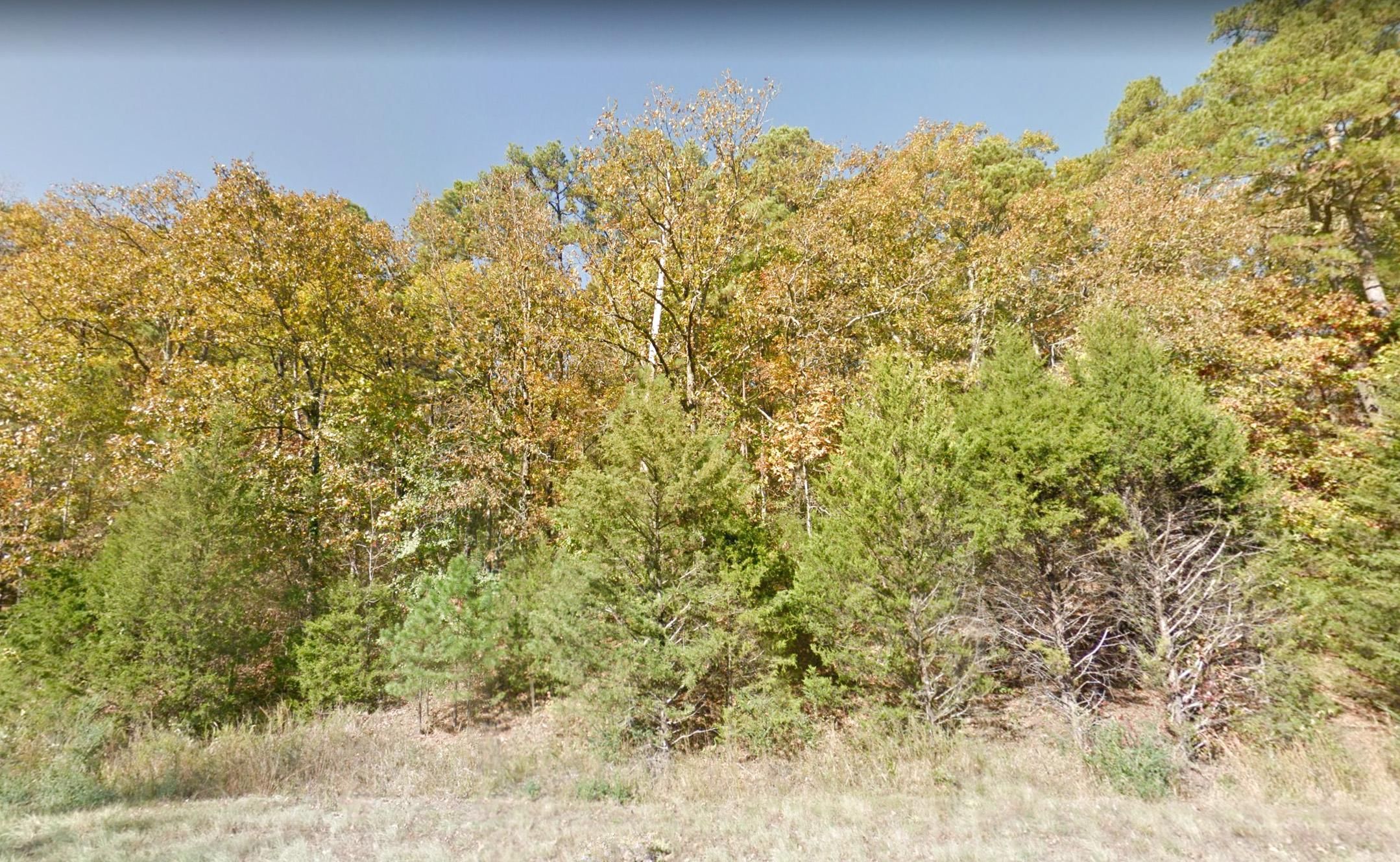 Mariposa Loop, Bee Branch, AR 72013 LandWatch