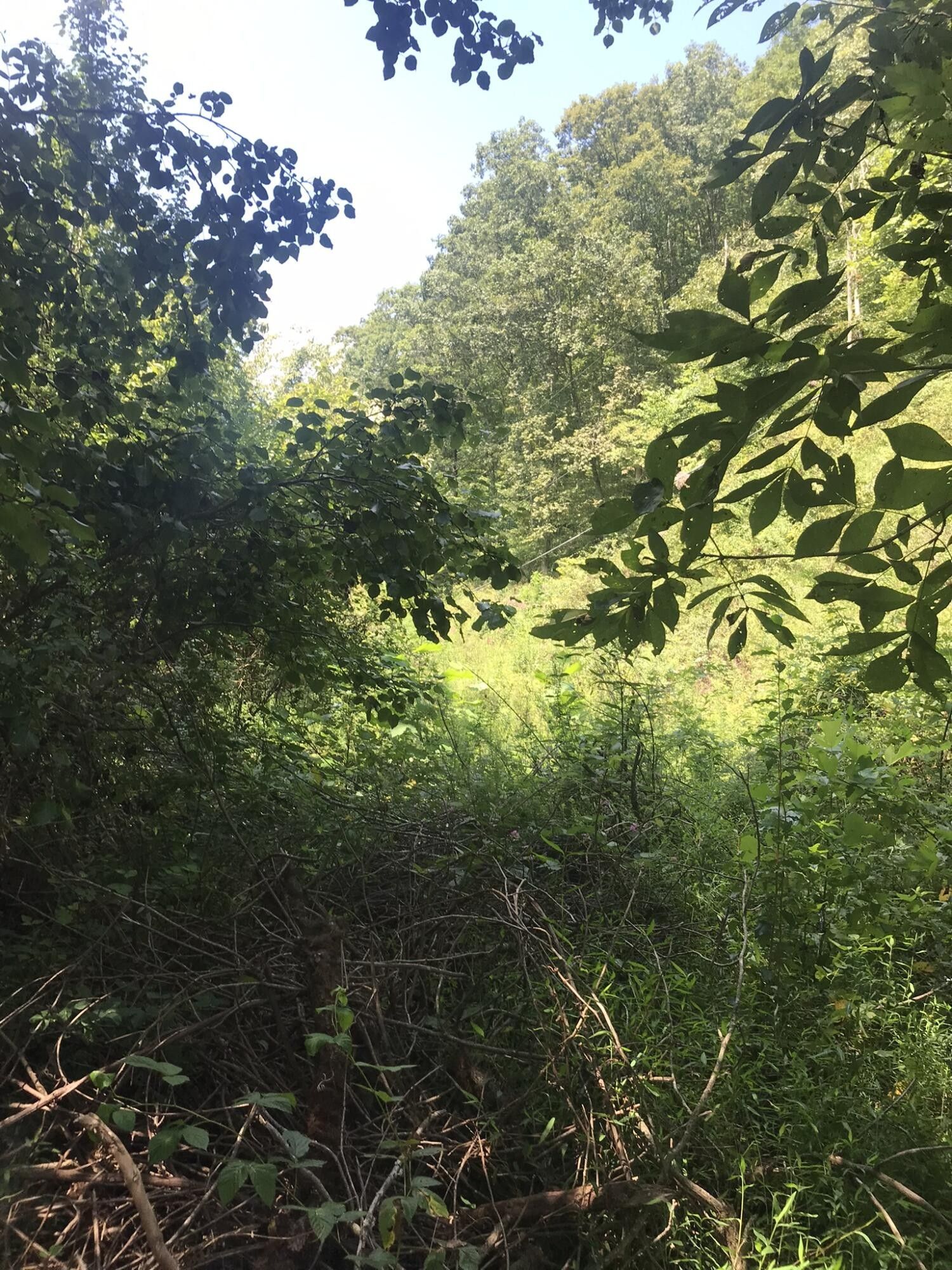 Mozelle, Leslie County, KY Farms and Ranches for sale Property ID 414670341 LandWatch