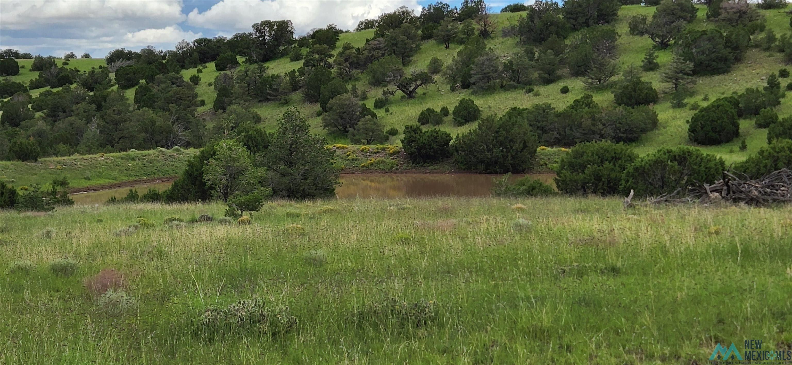 Quemado, Catron County, NM Undeveloped Land for sale Property ID 414193908 LandWatch