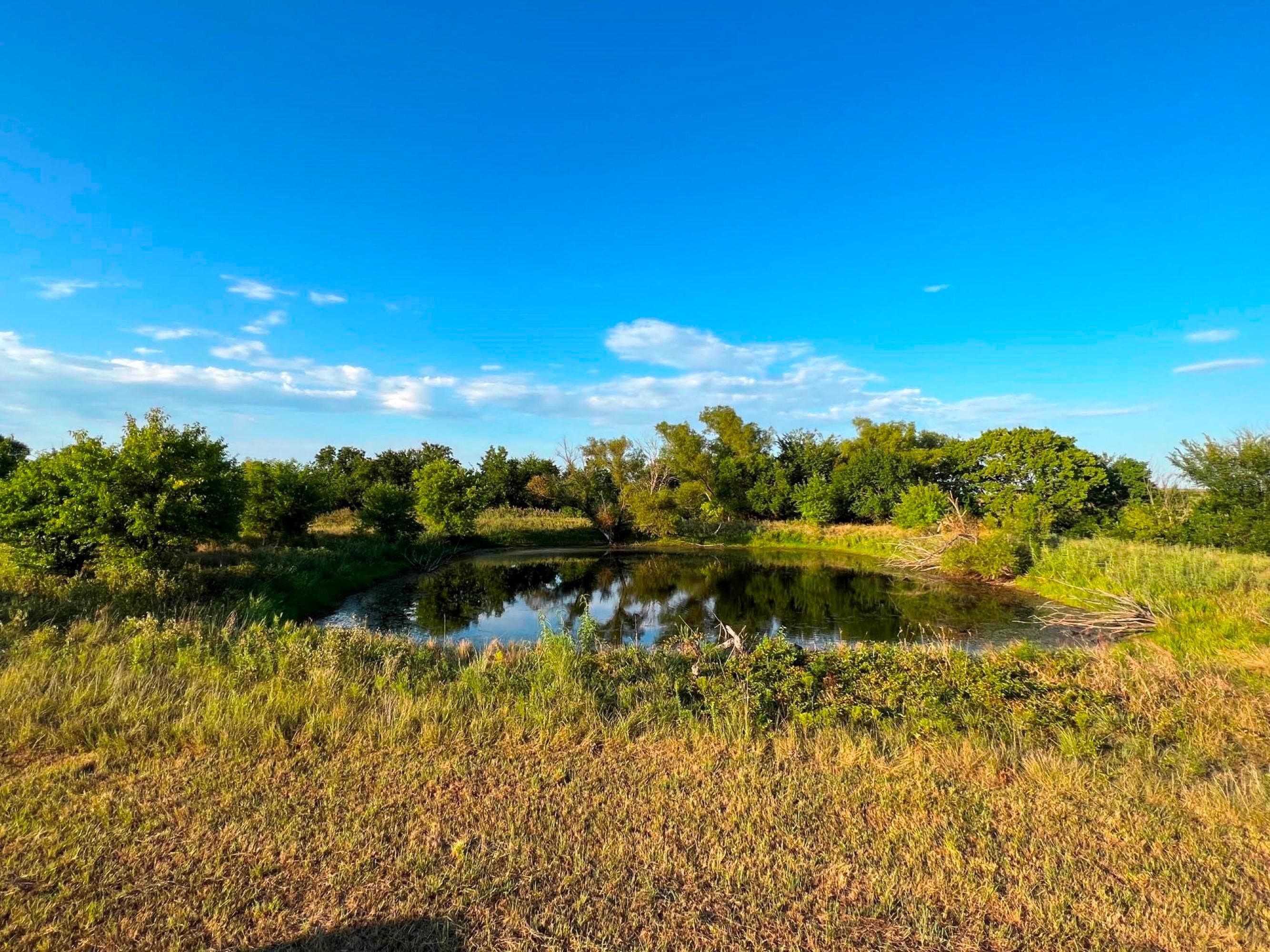 Burlington, Coffey County, KS Undeveloped Land for sale Property ID