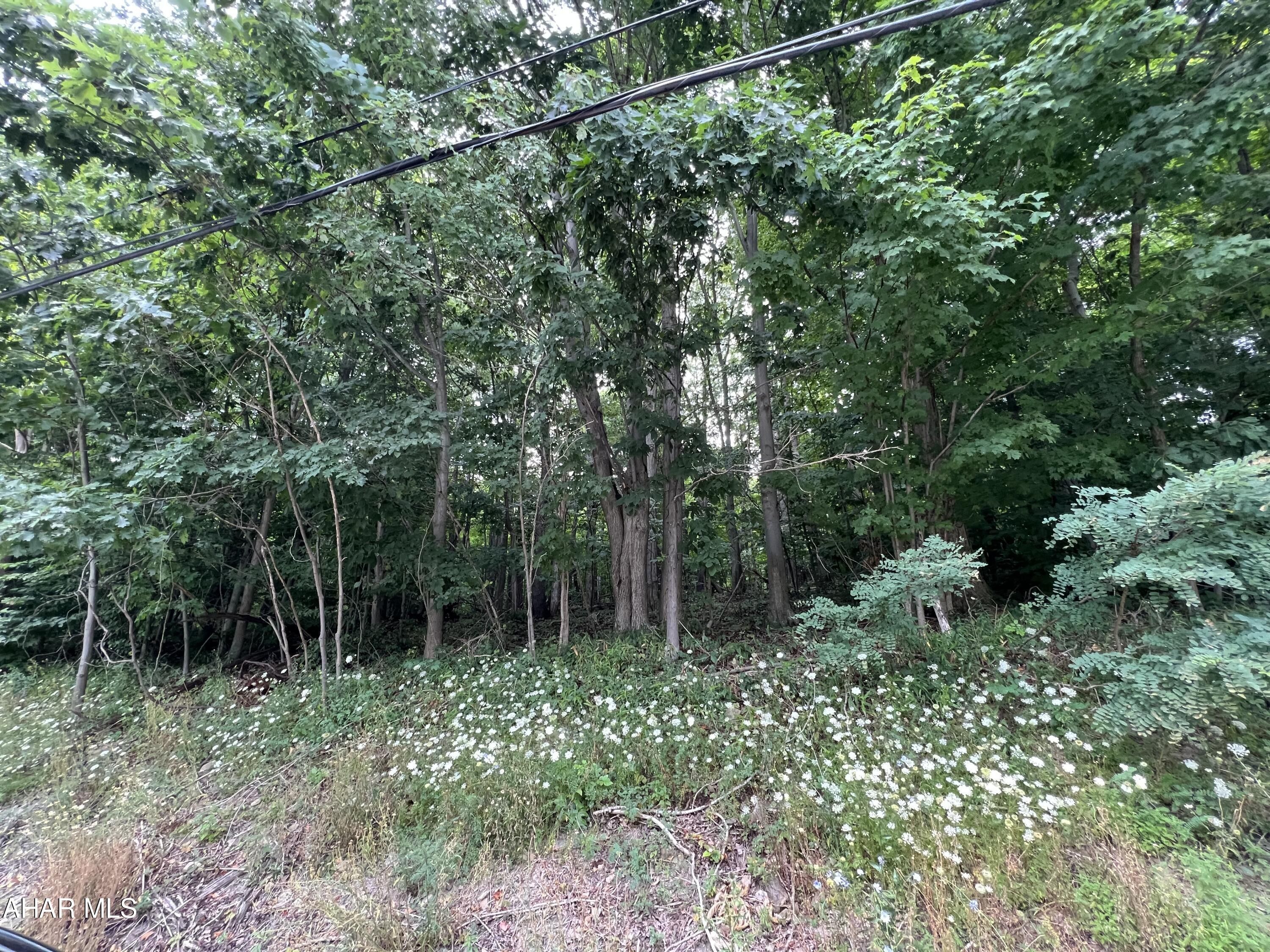 Ashville, Cambria County, PA Farms and Ranches, Homesites for sale