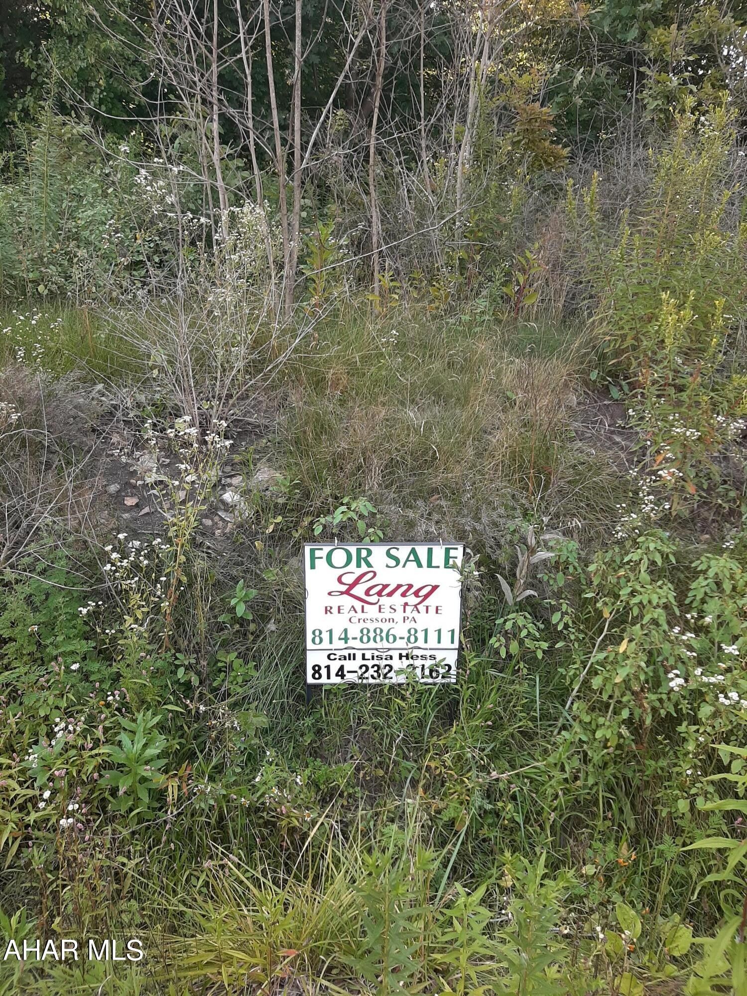 Nanty Glo, Cambria County, PA Undeveloped Land, Homesites for sale