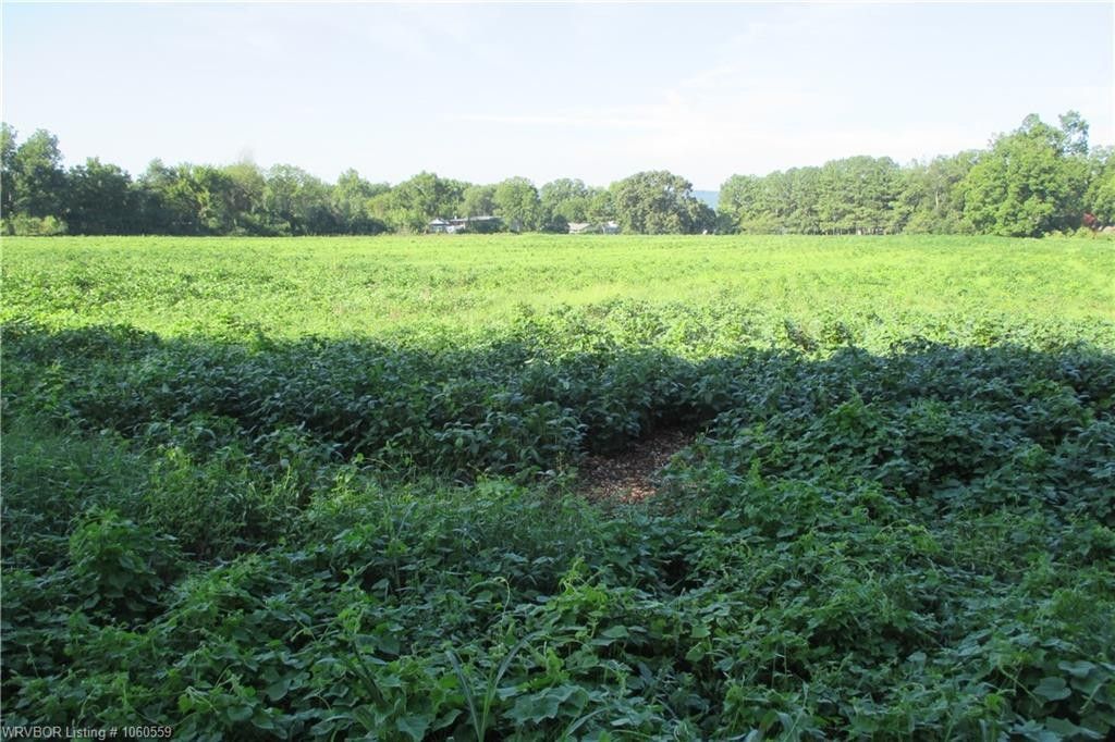 Paris, Logan County, AR Undeveloped Land for sale Property ID