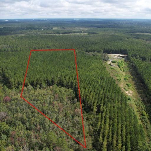 Waycross, Ware County, GA Recreational Property, Commercial Property