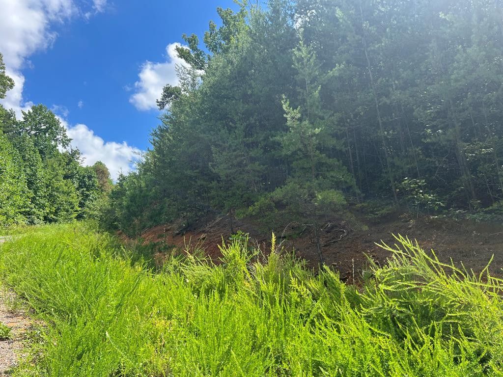 Newport, Cocke County, TN Undeveloped Land for sale Property ID