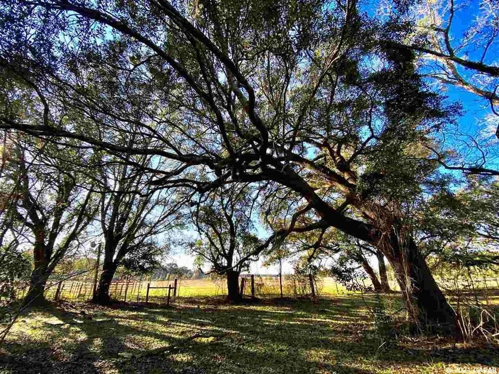 Mcalpin, Suwannee County, FL Undeveloped Land for sale Property ID