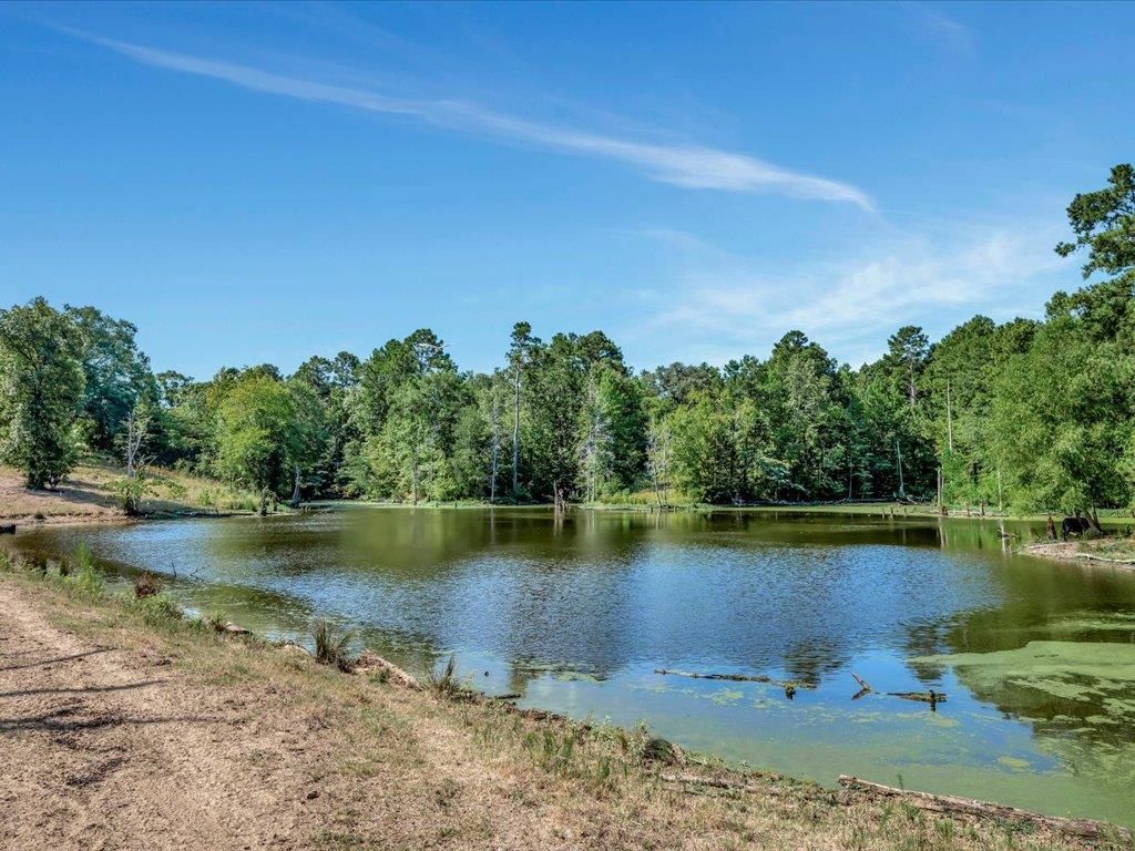 County Road 282, Nacogdoches, TX 75946 MLS 22200743 LandWatch