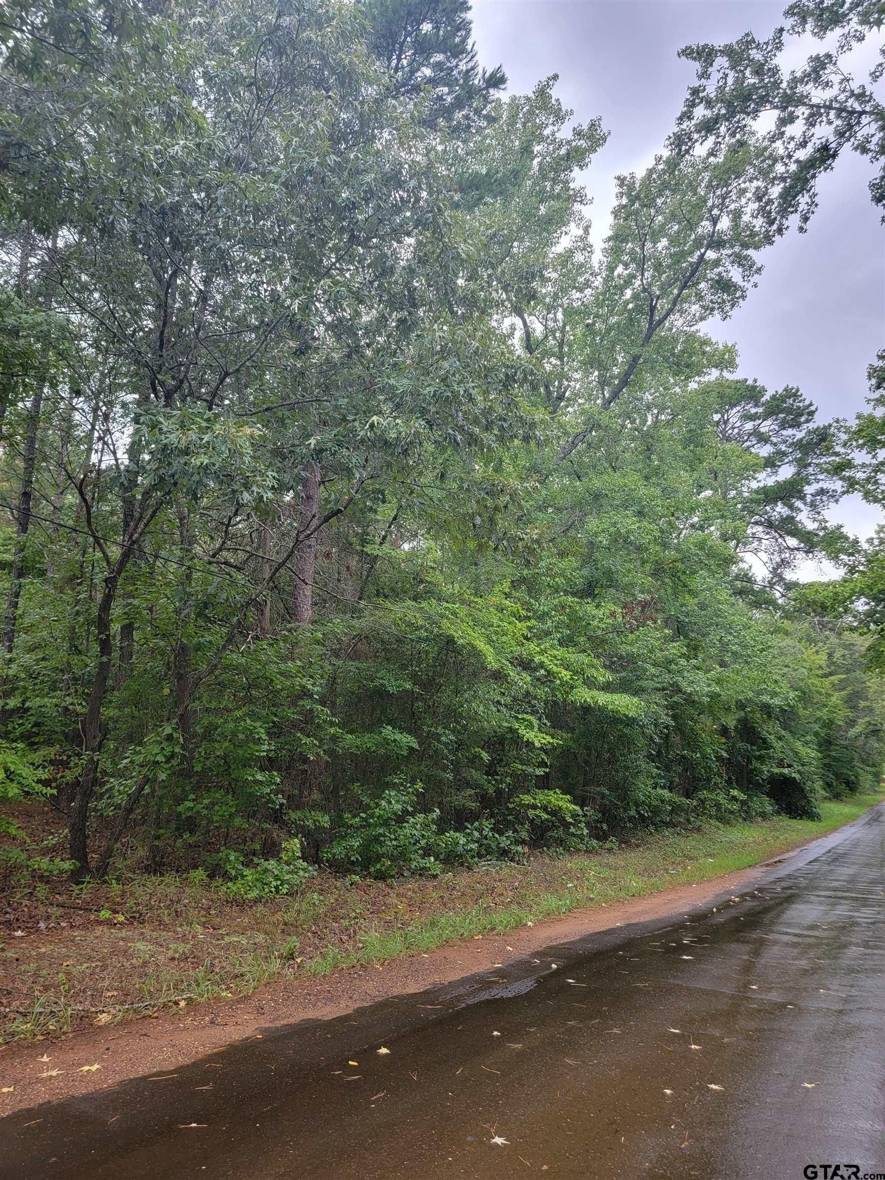 Overton, Rusk County, TX Undeveloped Land for sale Property ID