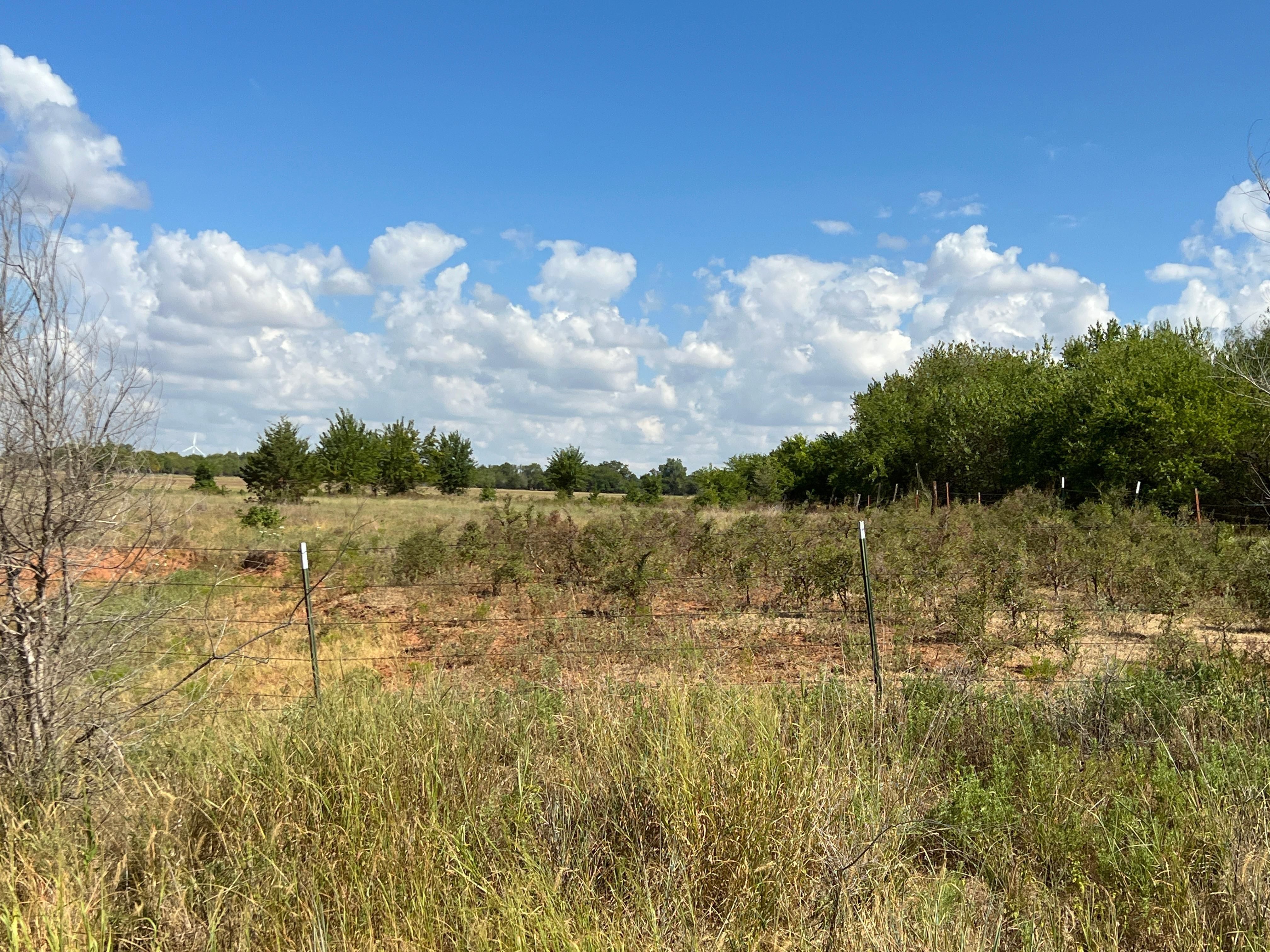 Attica, Harper County, KS Farms and Ranches, Undeveloped Land, Hunting