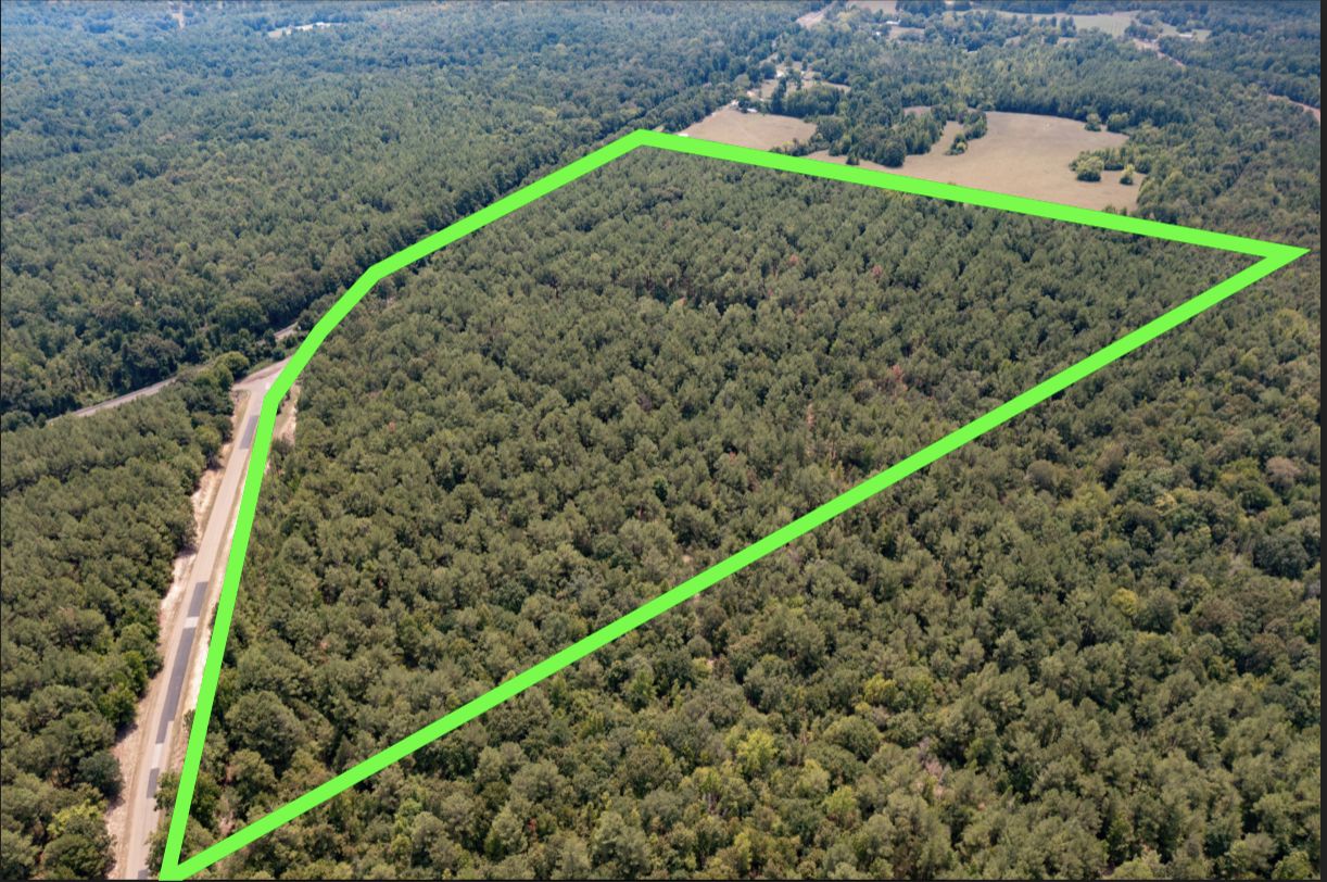 Wilkes Power Plant Road, Avinger, TX 75630 LandWatch