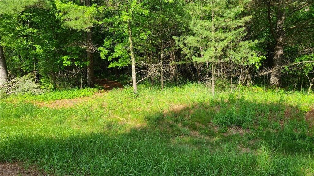 Wheeler, Dunn County, WI Undeveloped Land, Lakefront Property