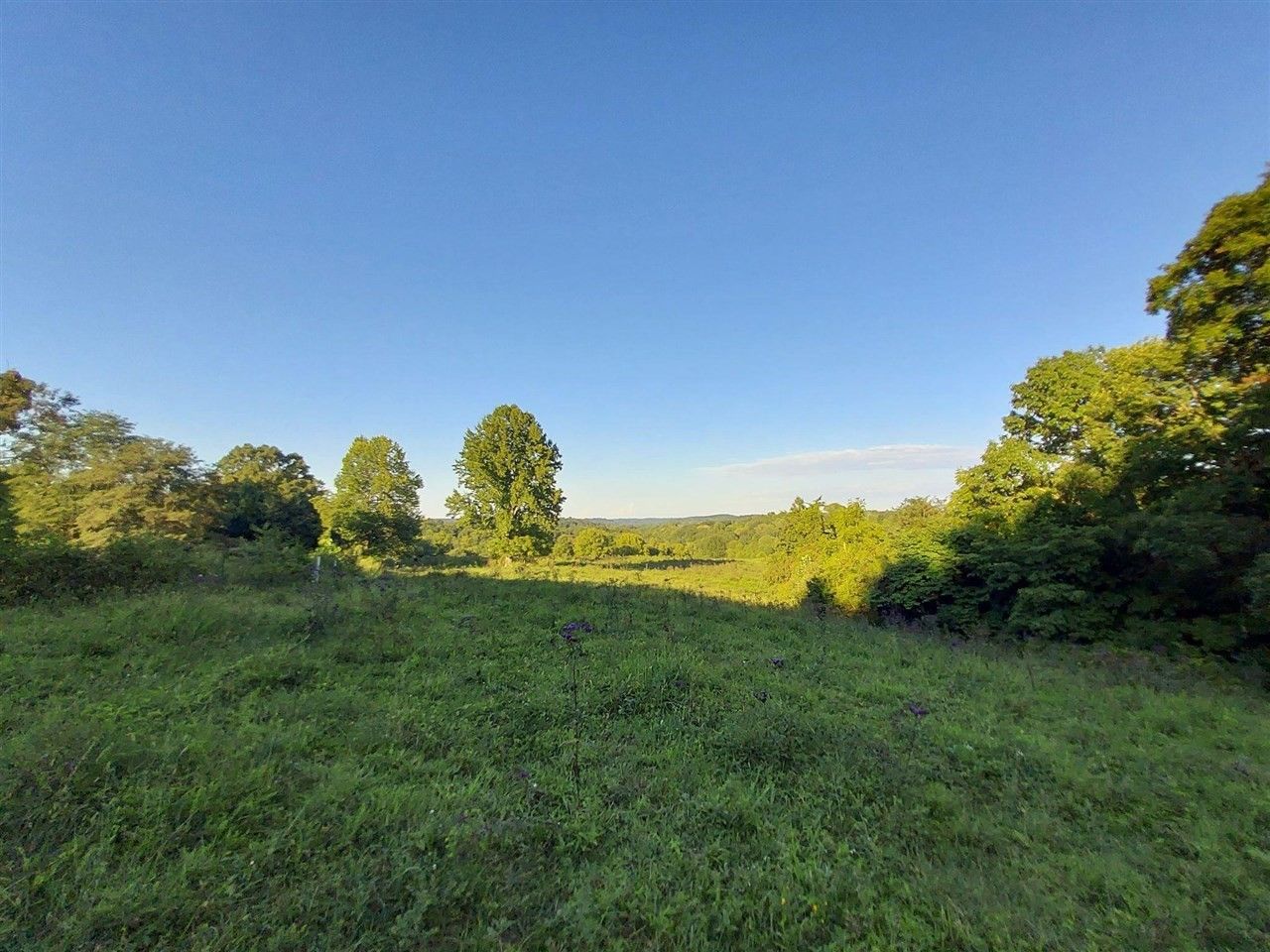 Edmonton, Metcalfe County, KY Undeveloped Land for sale Property ID