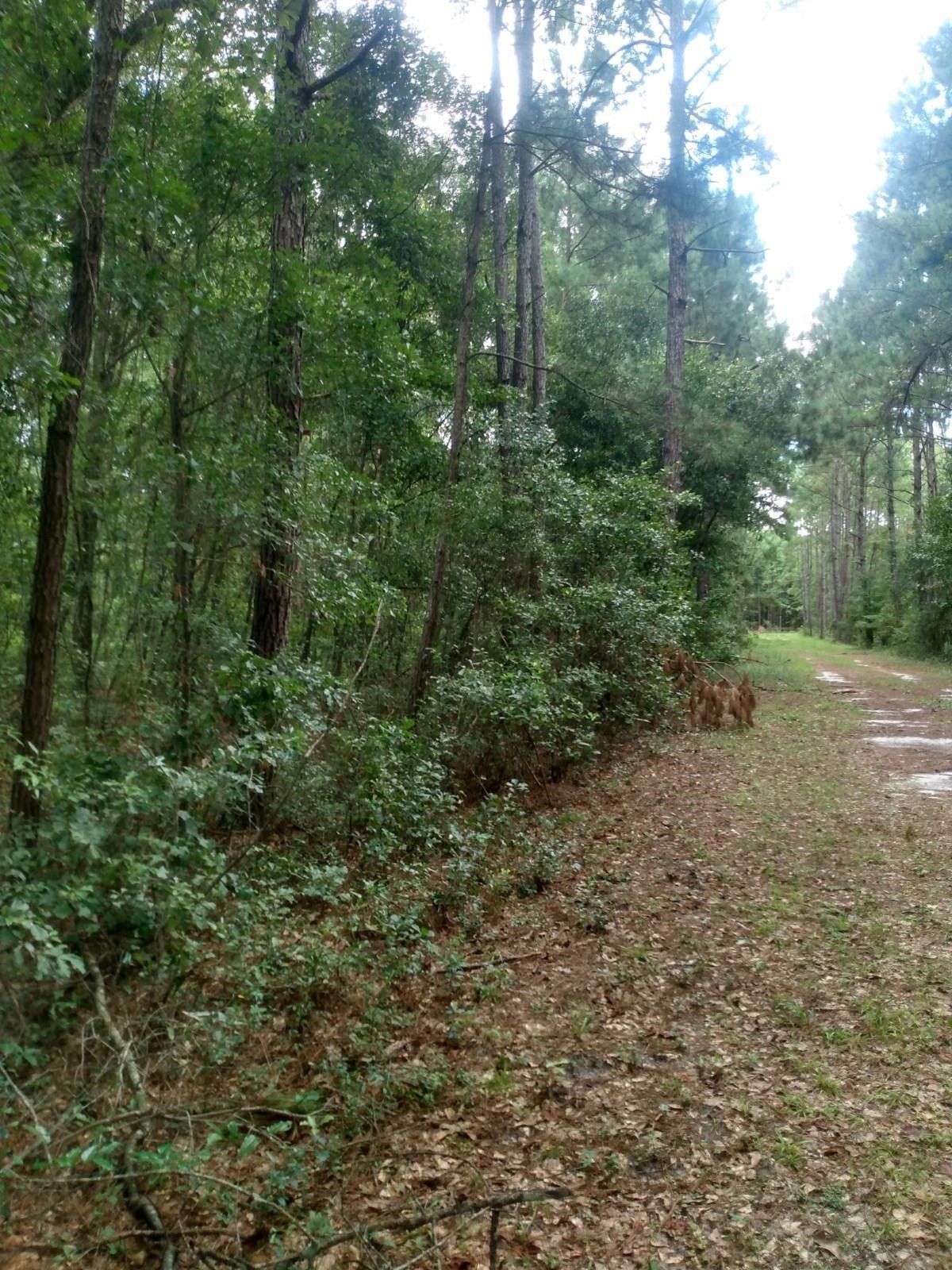 Madison, Madison County, FL Undeveloped Land, Homesites for sale