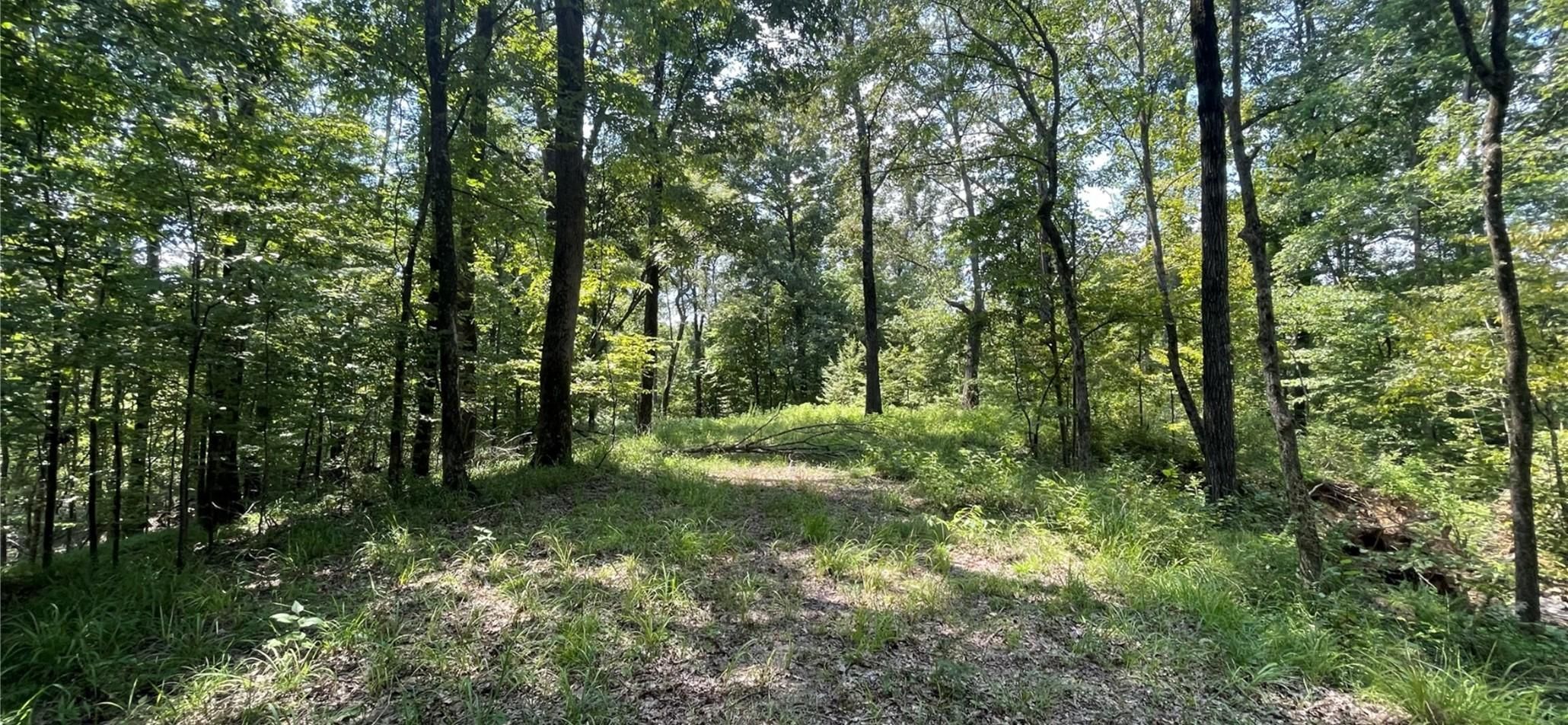 Bolton, Hinds County, MS Recreational Property, Timberland Property