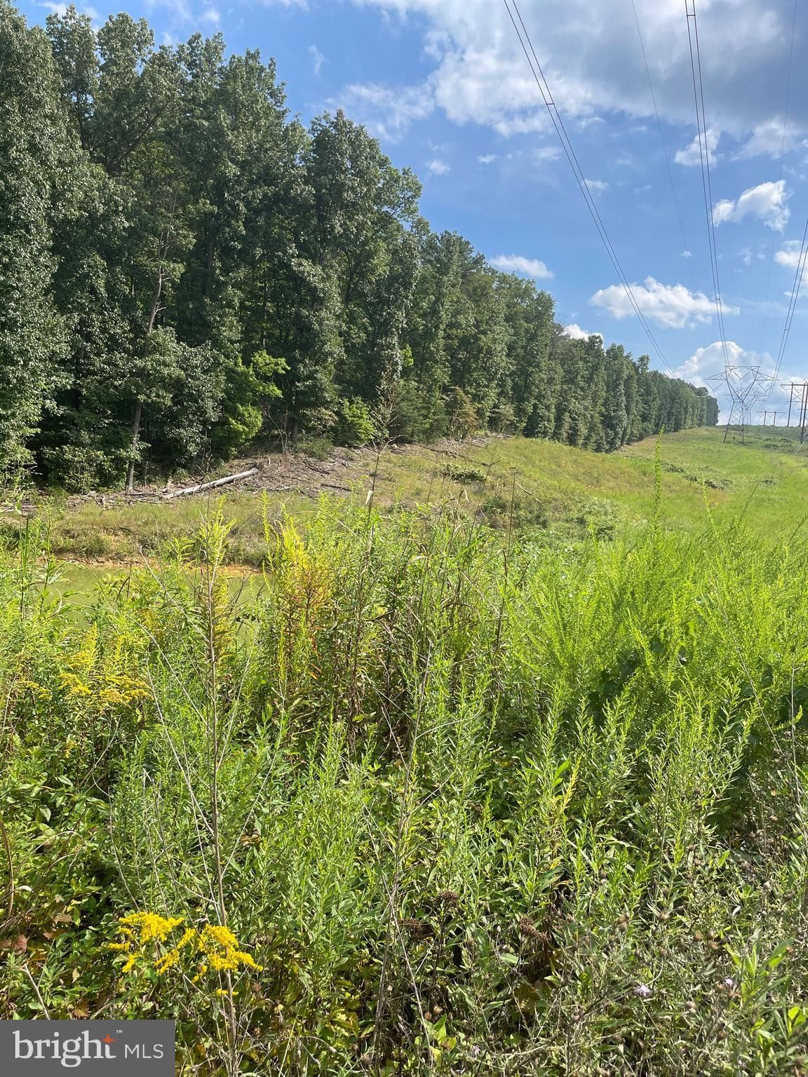 Front Royal, Warren County, VA Undeveloped Land for sale Property ID