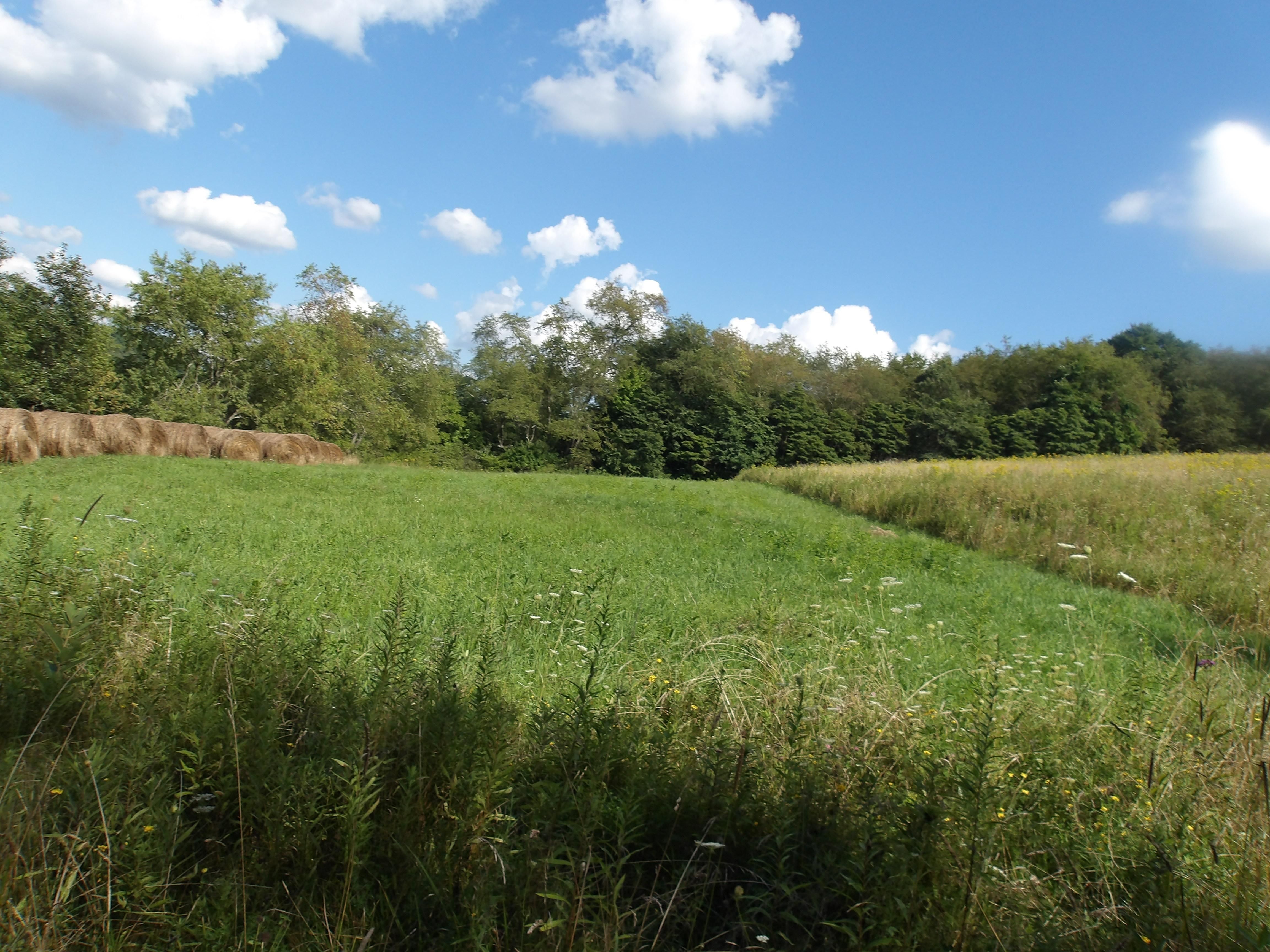 Jewett, Harrison County, OH Recreational Property, Hunting Property for