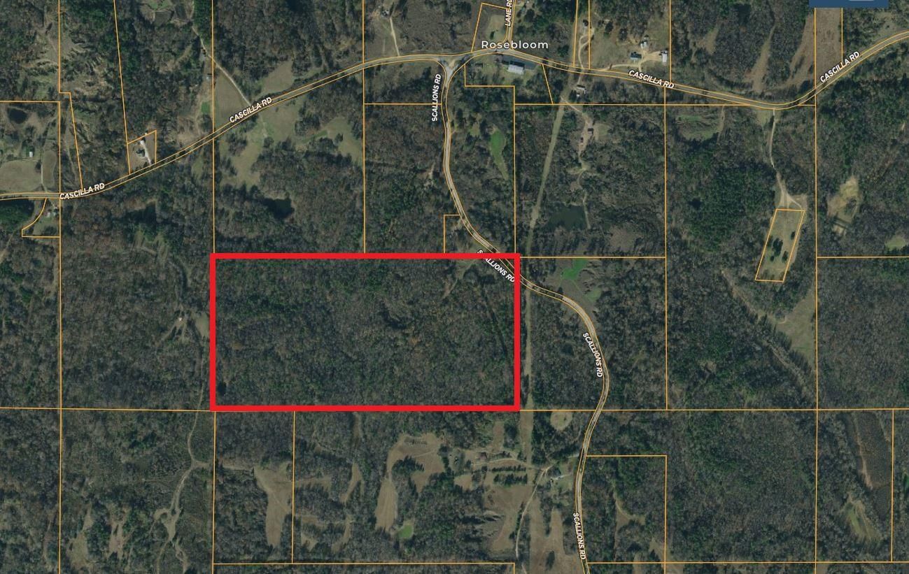 Grenada, Tallahatchie County, MS Recreational Property, Timberland