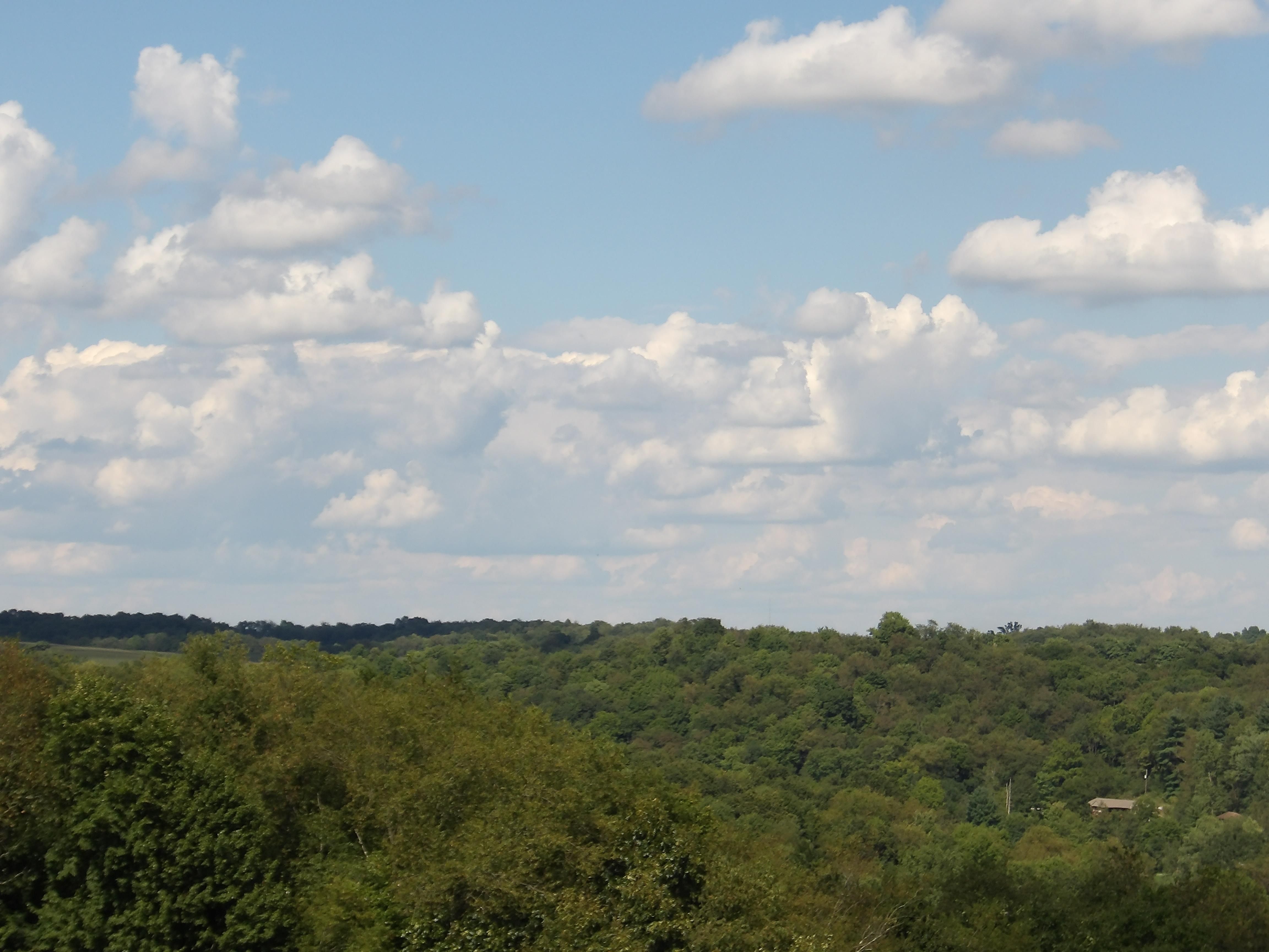 32.16 acres in Jewett, OH, 43986 LandWatch