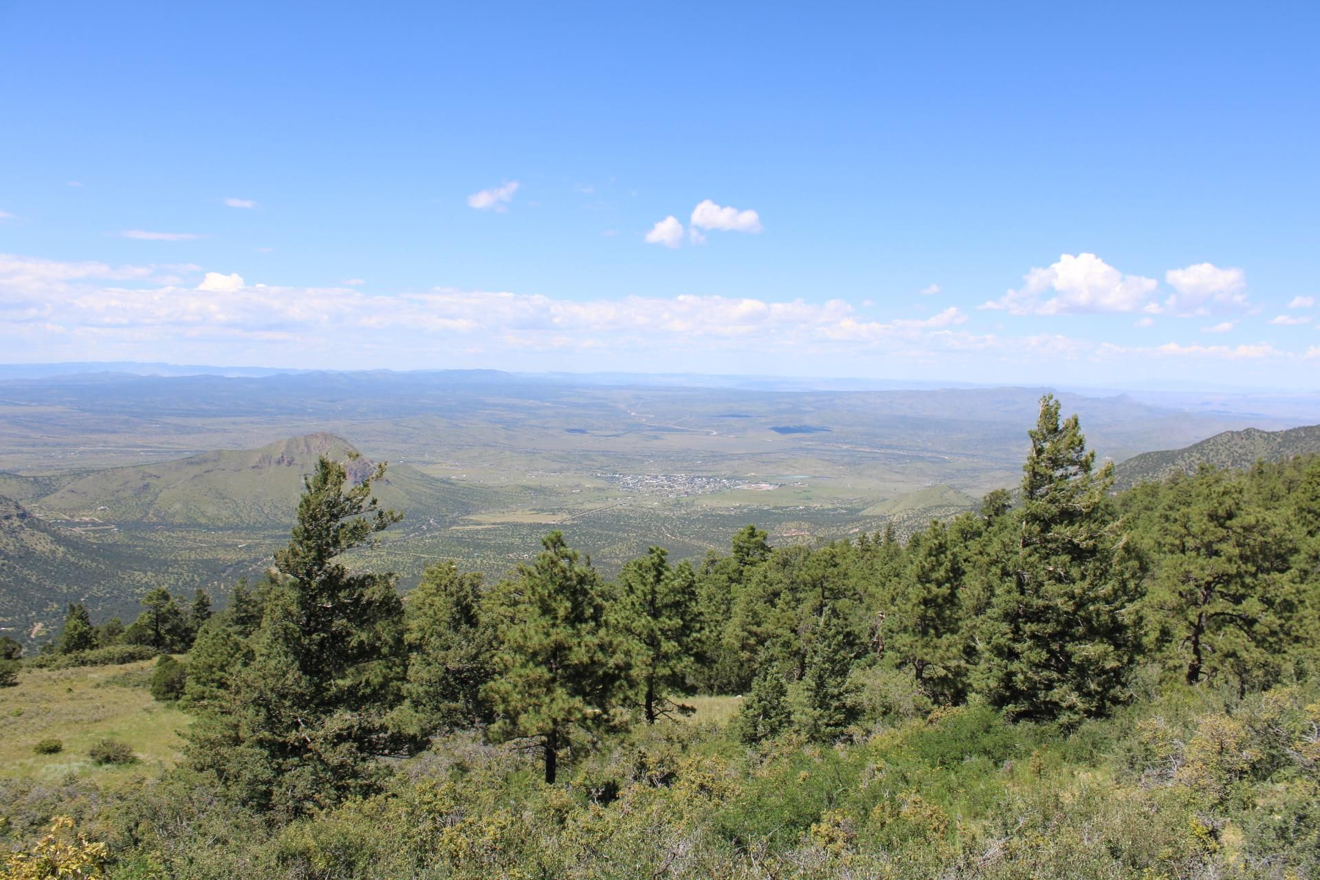 Magdalena, Socorro County, NM Recreational Property, Timberland
