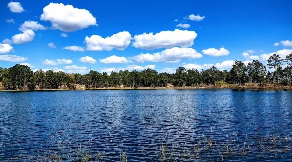 Hawthorne, Putnam County, FL Lakefront Property, Waterfront Property