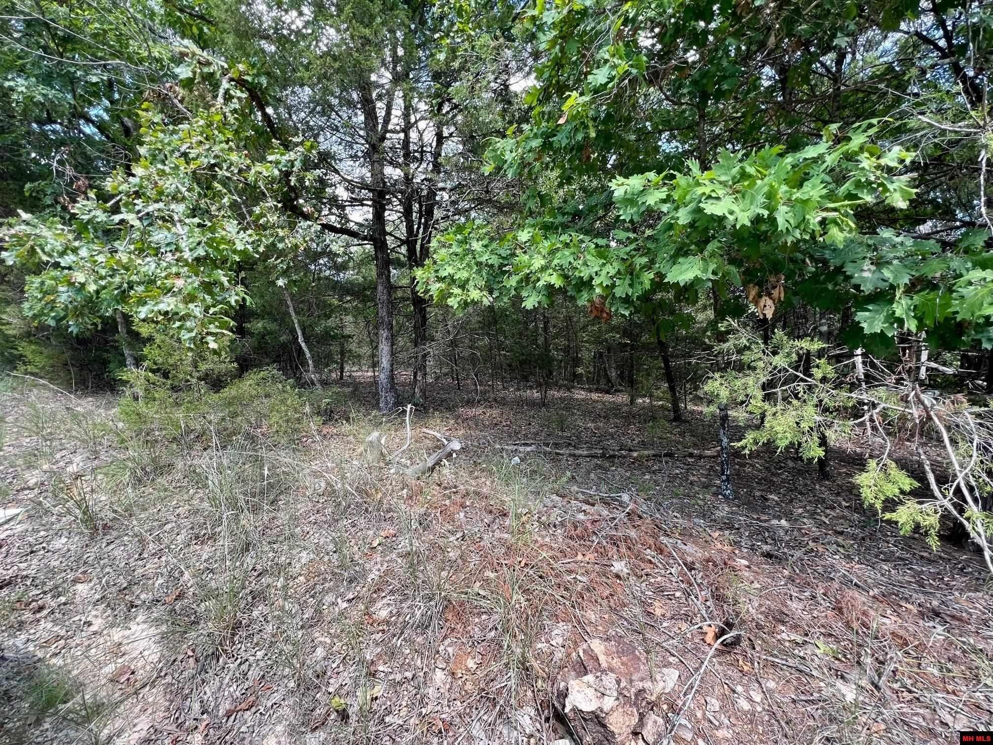 Oakland, Marion County, AR Undeveloped Land for sale Property ID