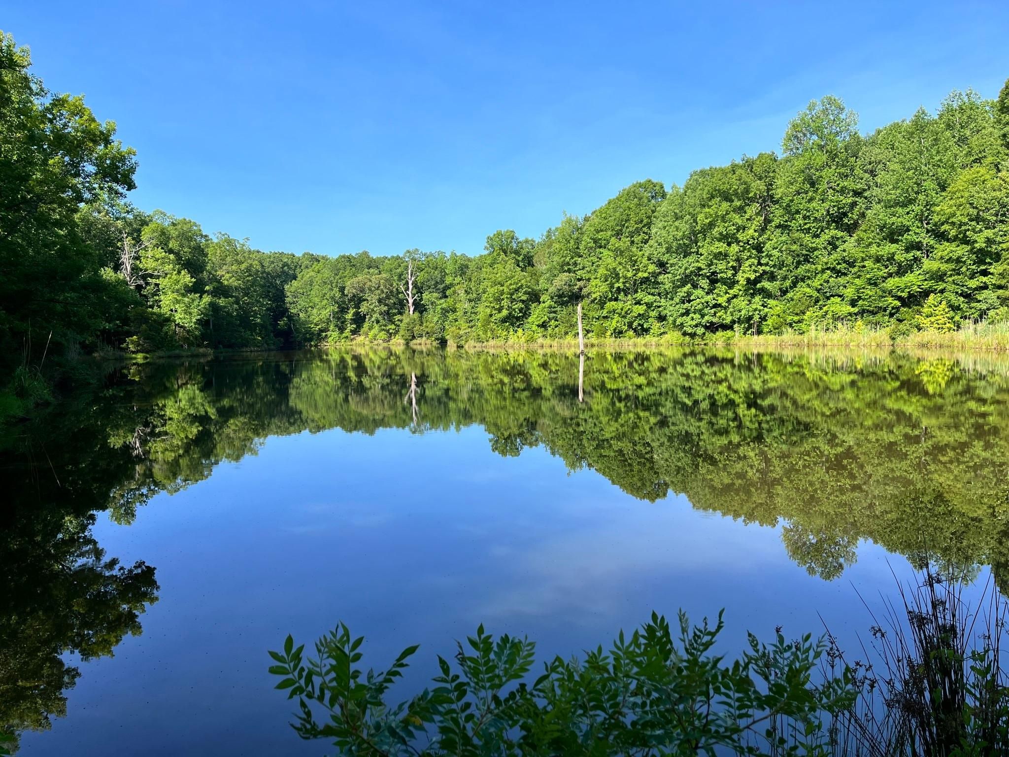 Forsyth, Monroe County, GA Timberland Property, Undeveloped Land