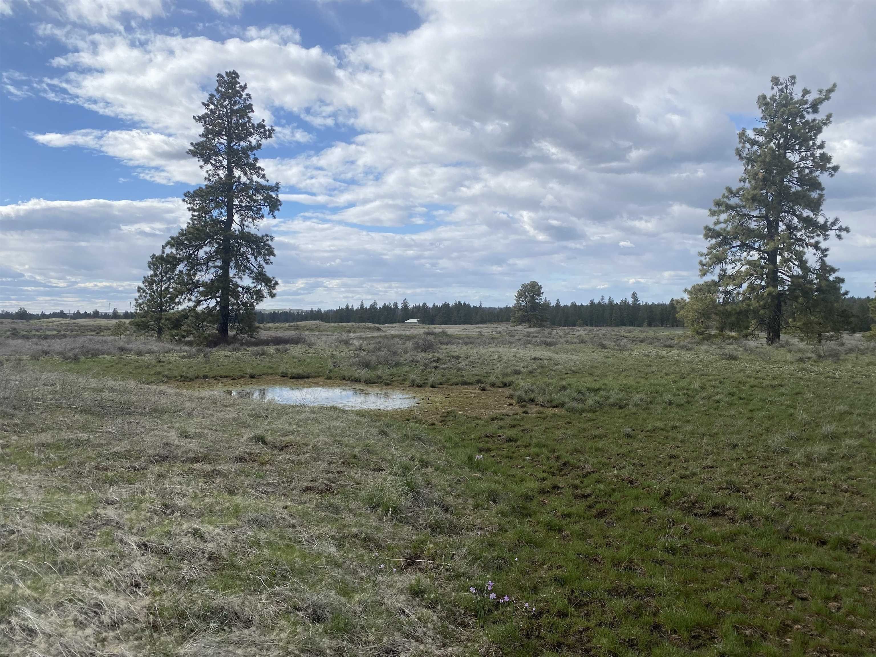 Cheney, Spokane County, WA Undeveloped Land for sale Property ID