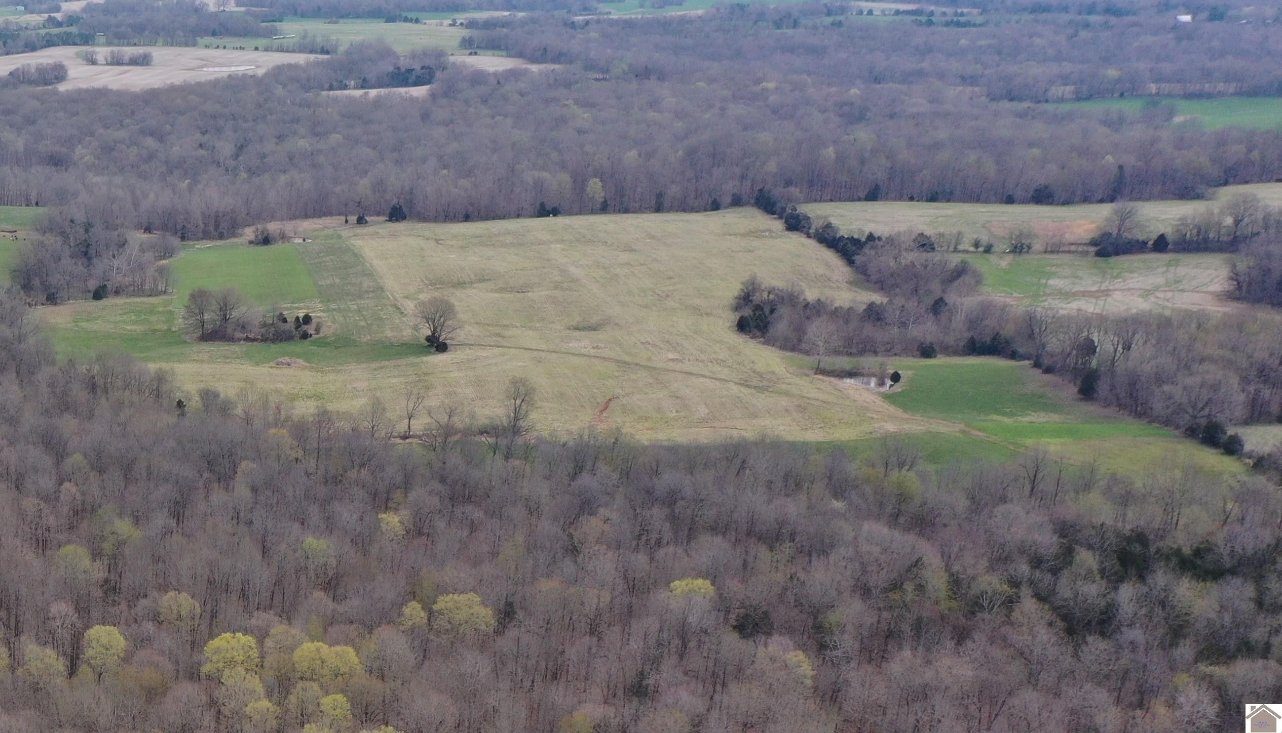 Cadiz, Trigg County, KY Farms and Ranches for sale Property ID