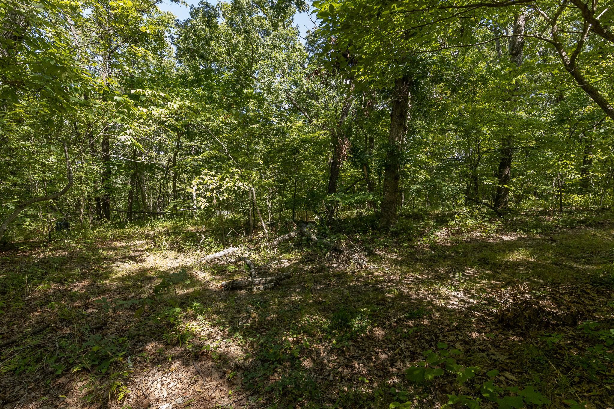 County, MO Recreational Property, Undeveloped Land