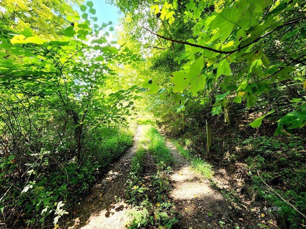 344 Skaggs Rd, Londonderry, OH 45647 MLS 2429870 LandWatch