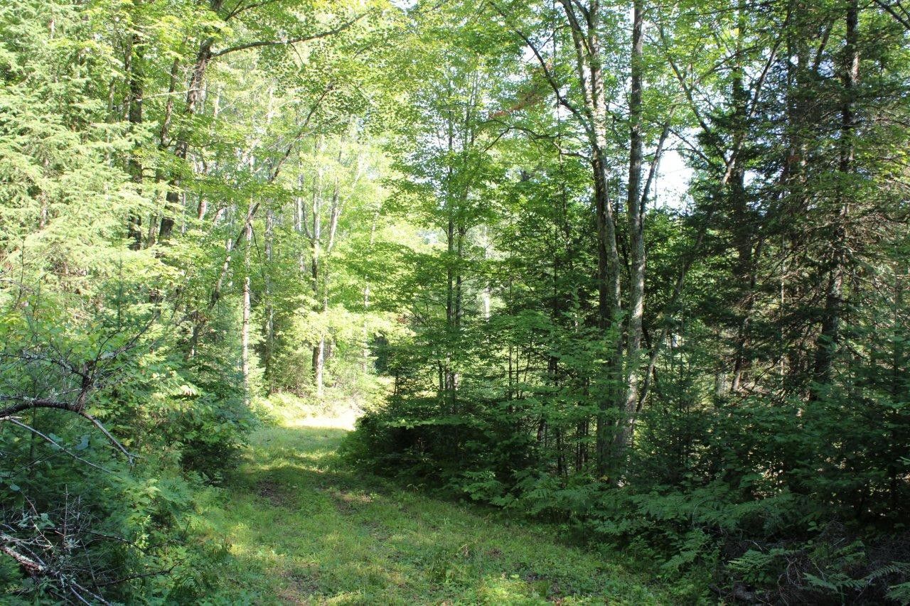 Phillips, Price County, WI Undeveloped Land for sale Property ID