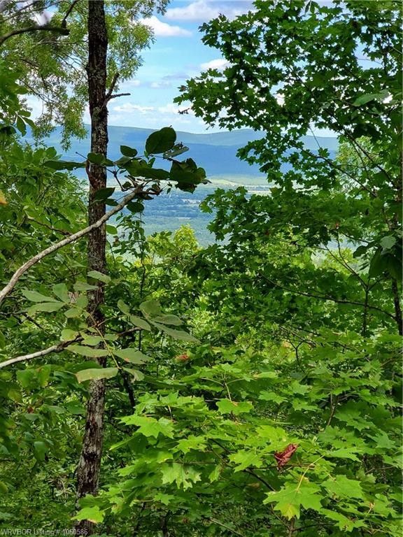 Smithville, Le Flore County, OK Undeveloped Land for sale Property ID