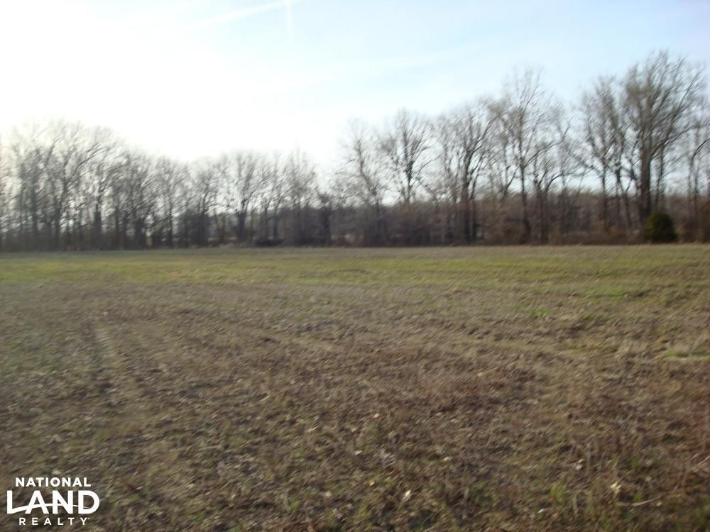 Dundee, Tunica County, MS Farms and Ranches, Timberland Property