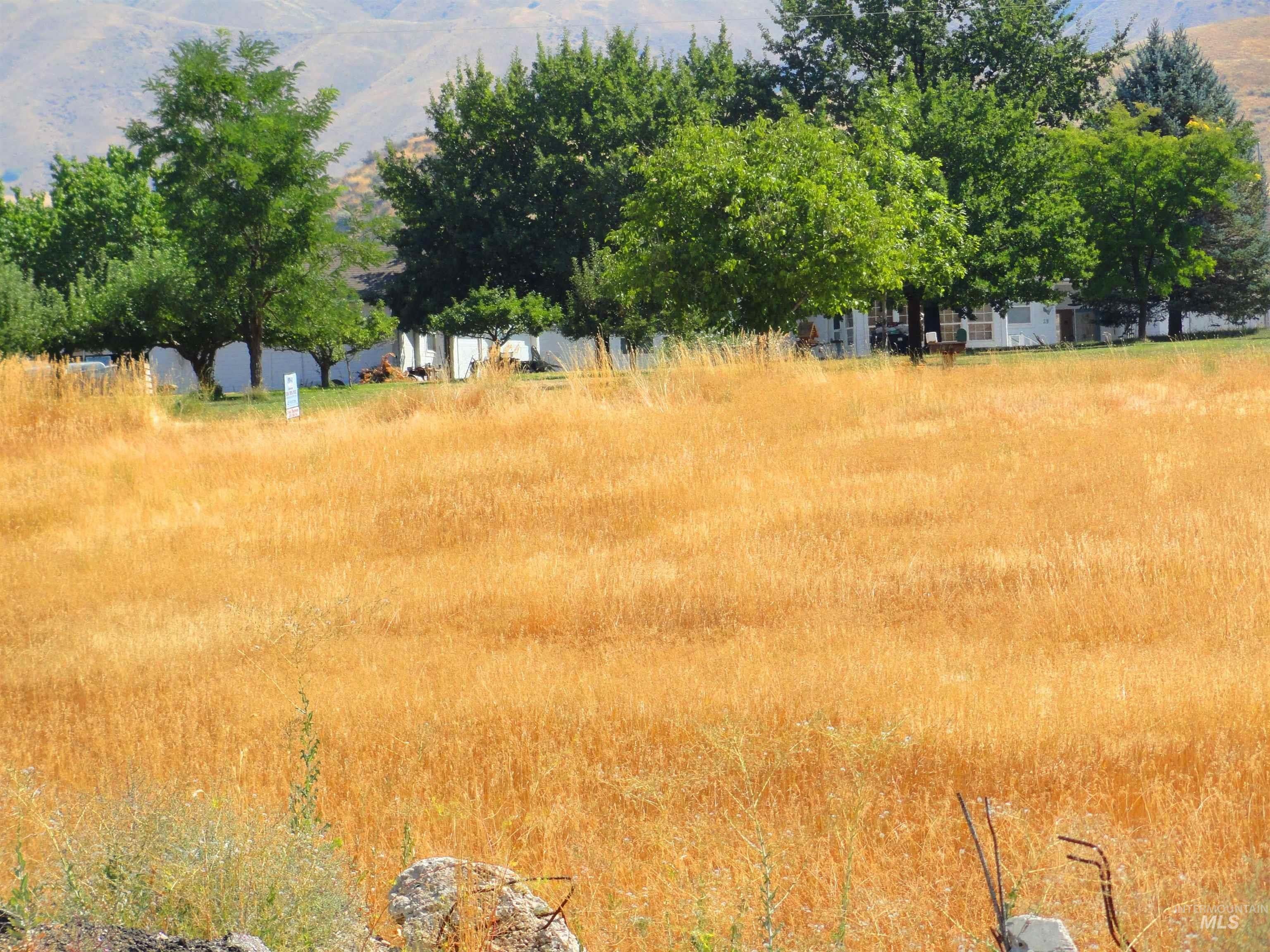 Horseshoe Bend, Boise County, ID Undeveloped Land, Homesites for sale