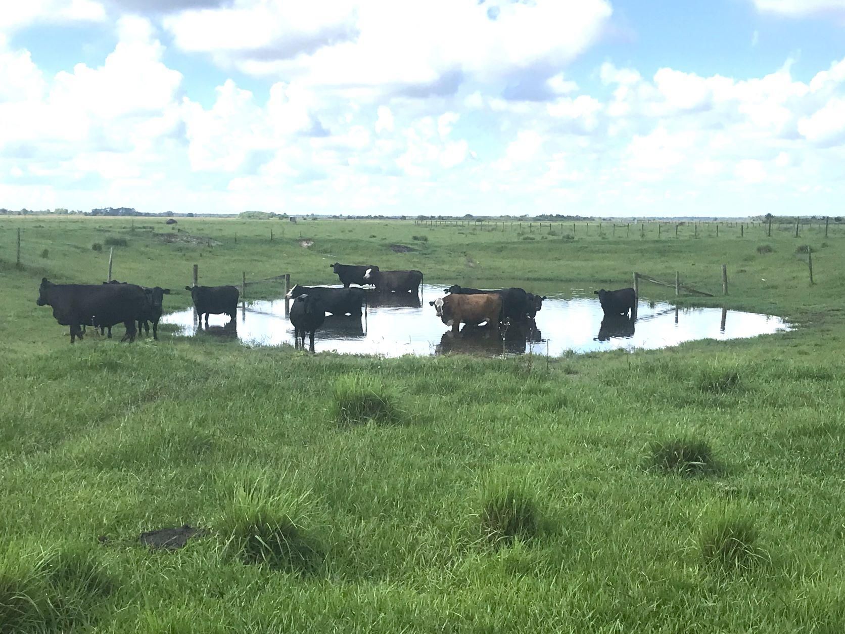 Okeechobee, Okeechobee County, FL Farms and Ranches, Recreational
