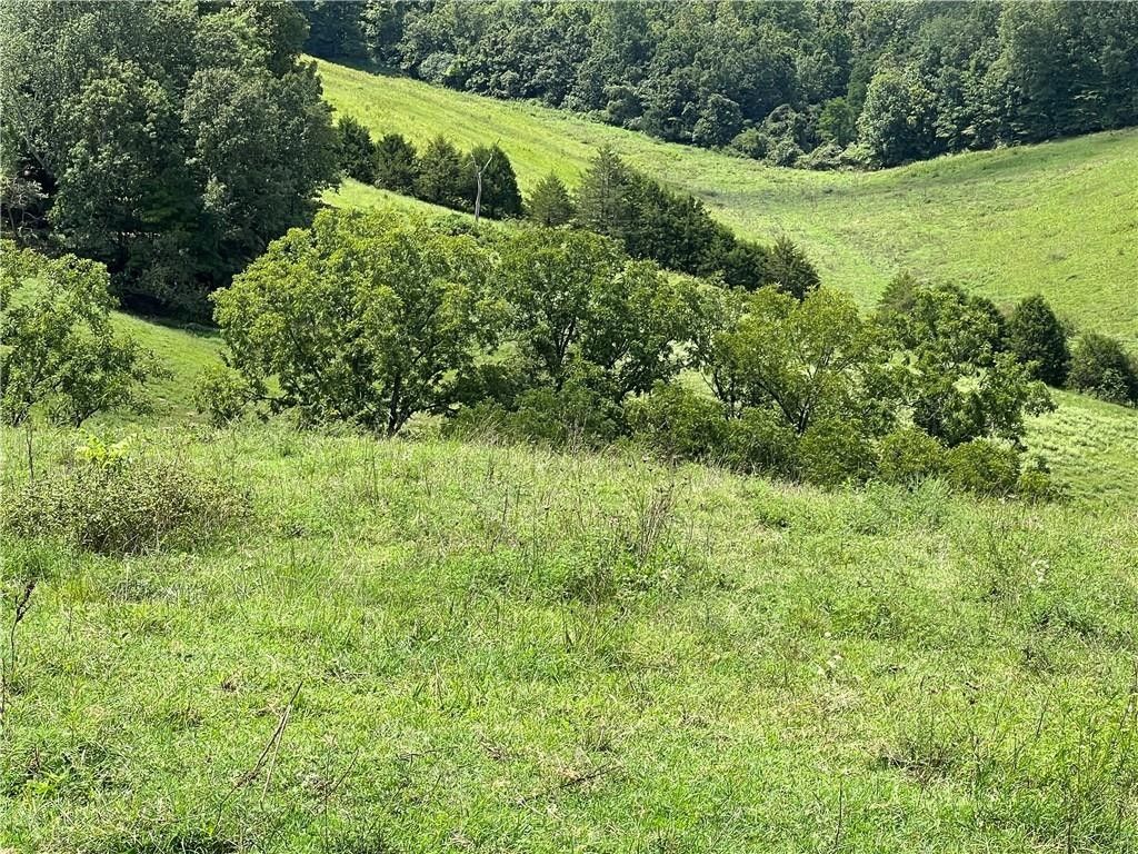 Harriet, Searcy County, AR Undeveloped Land for sale Property ID