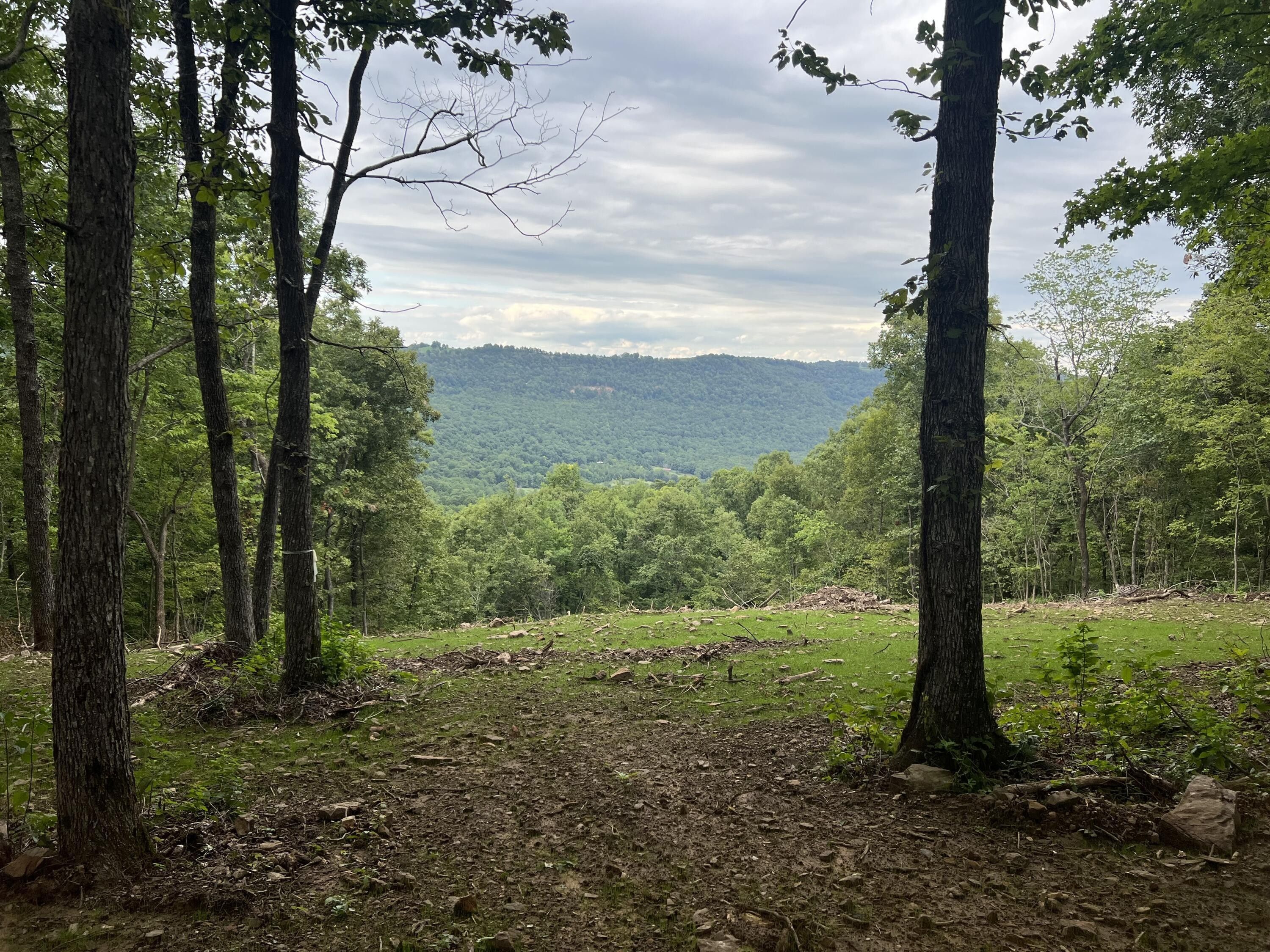 Jasper, Newton County, AR Farms and Ranches, Homesites for sale