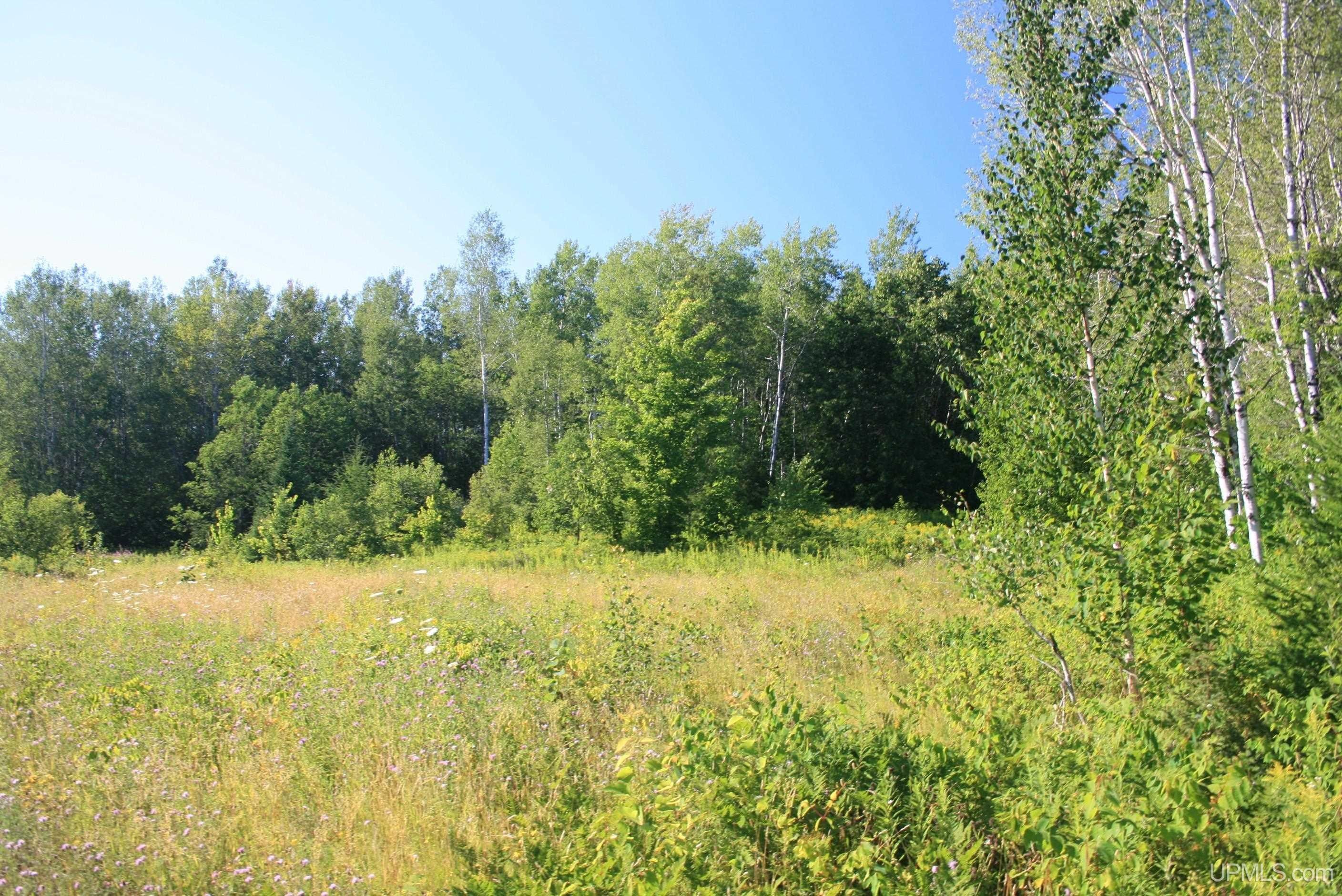 Wakefield, Gogebic County, MI Undeveloped Land for sale Property ID
