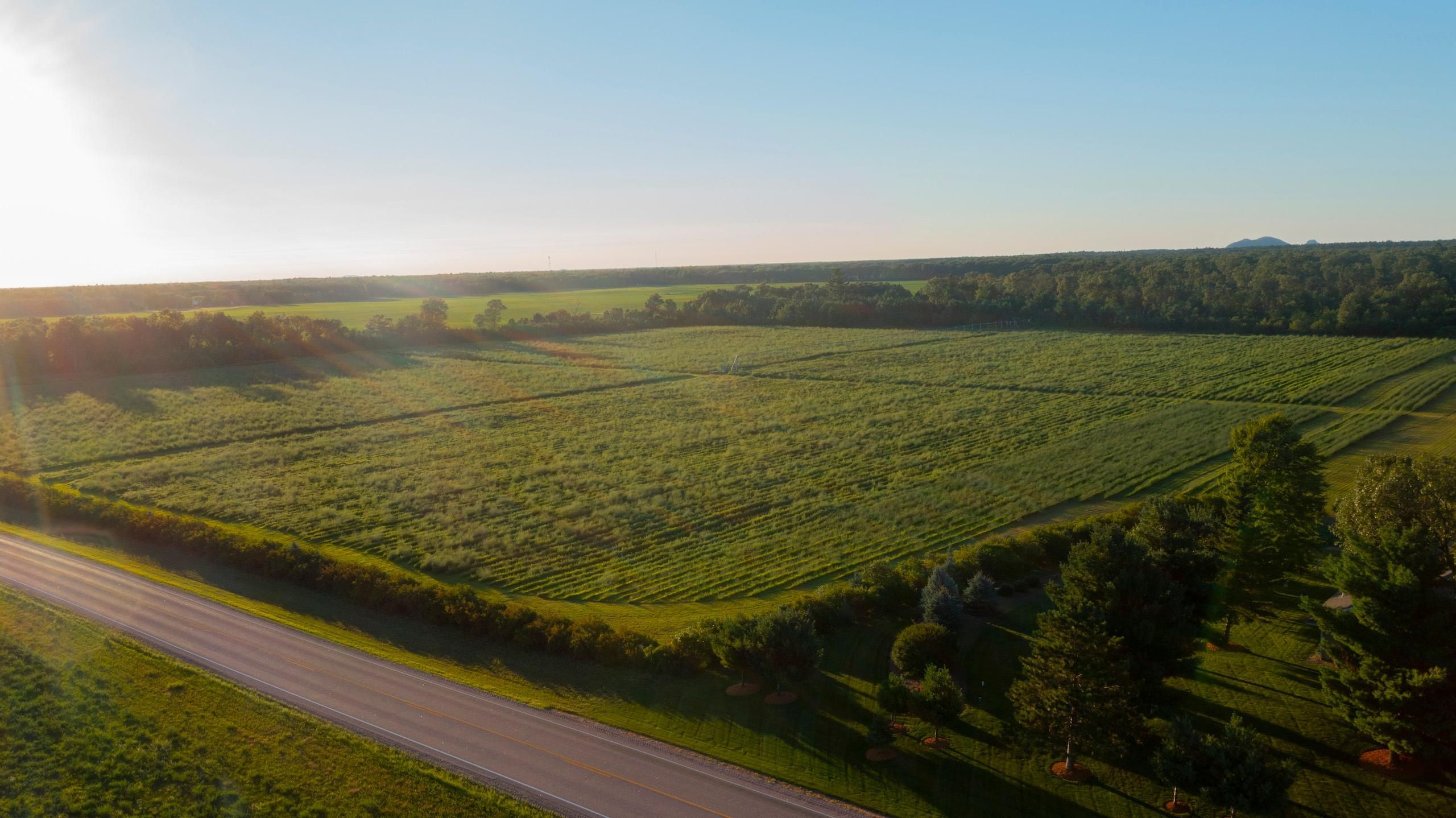 Adams, Adams County, WI Farms and Ranches, Hunting Property for sale