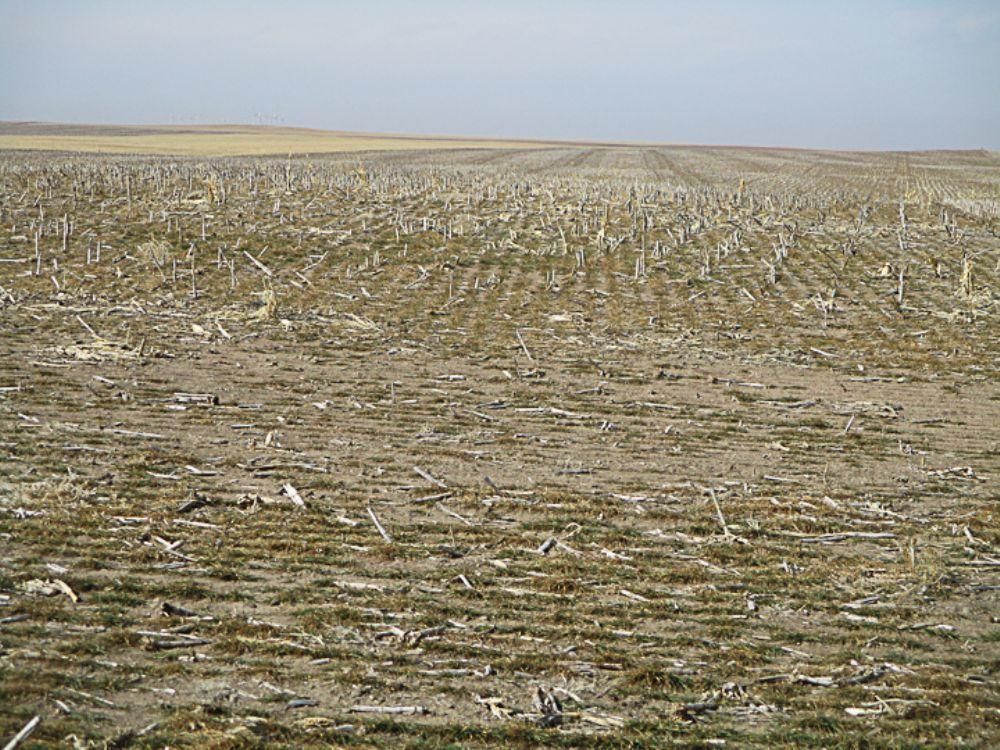 Lodgepole, Cheyenne County, NE Farms and Ranches for sale Property ID