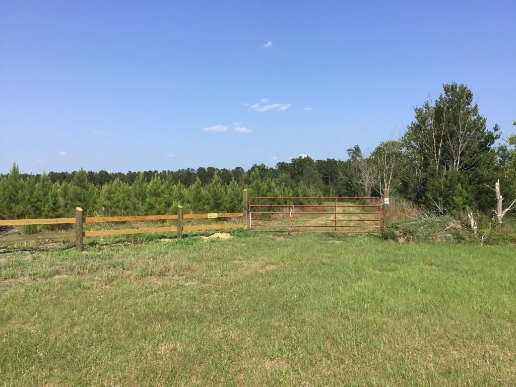 Loris, Horry County, SC Recreational Property, Timberland Property