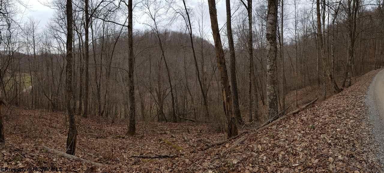 Crawford, Lewis County, WV Undeveloped Land, Lakefront Property