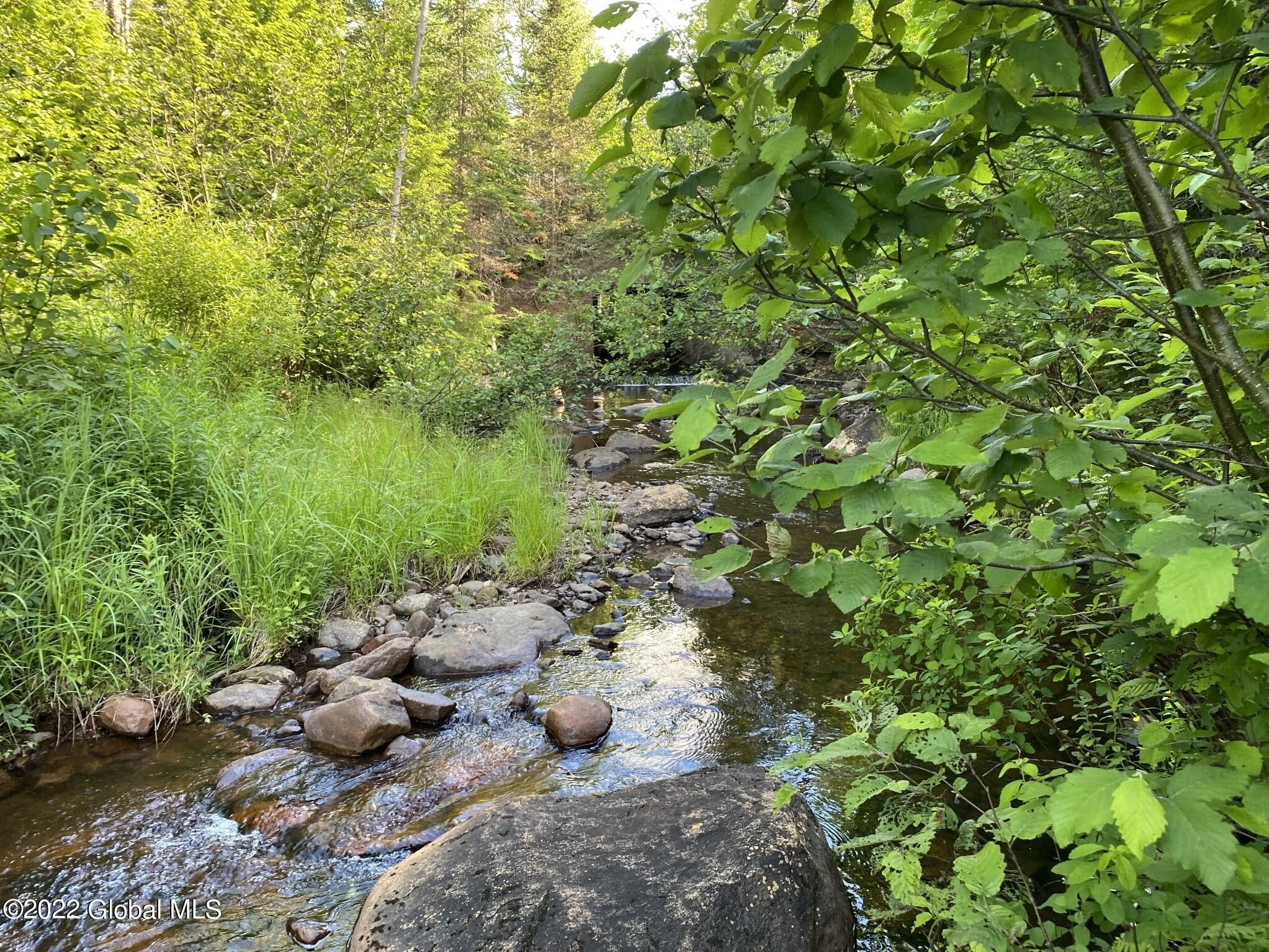 Johnsburg, Warren County, NY Undeveloped Land, Lakefront Property