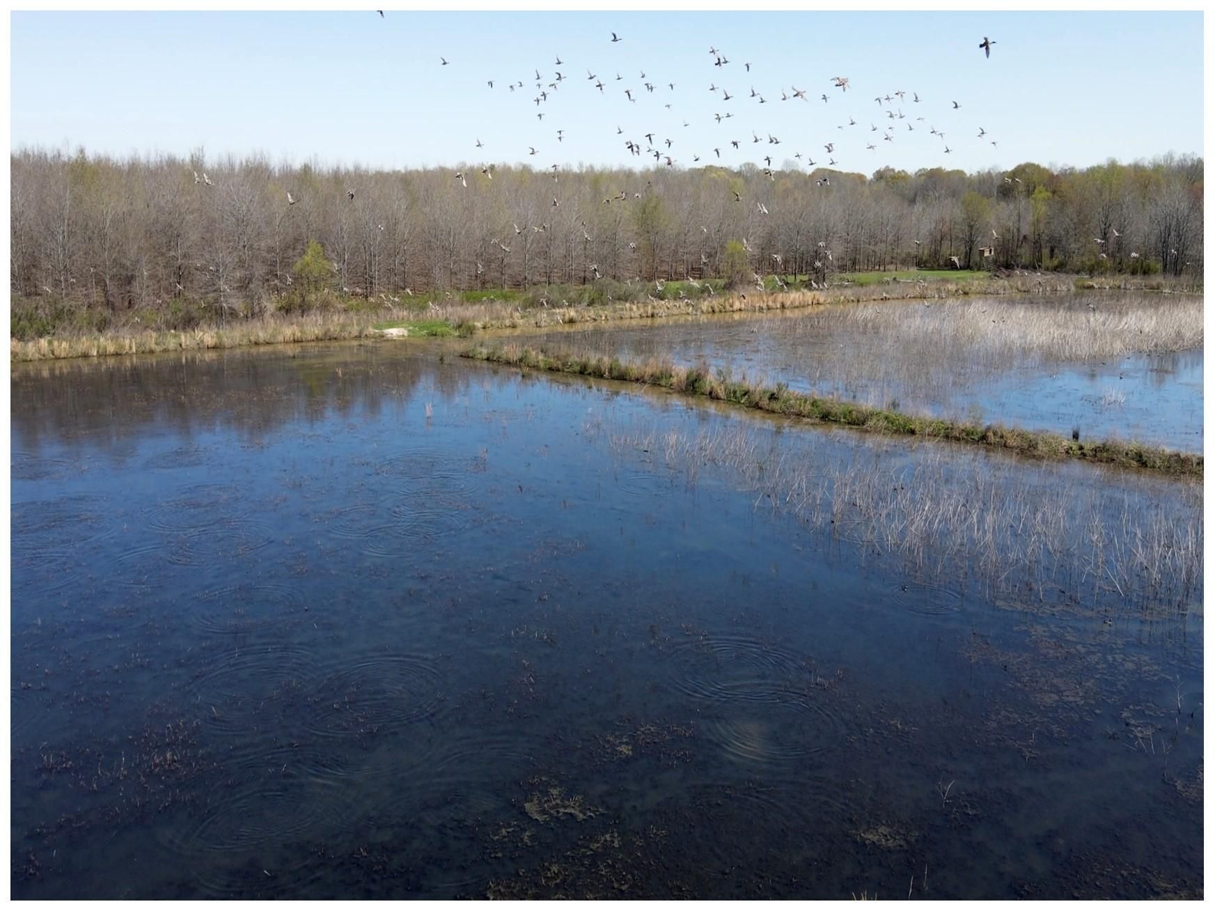 Charleston, Tallahatchie County, MS Undeveloped Land, Hunting Property