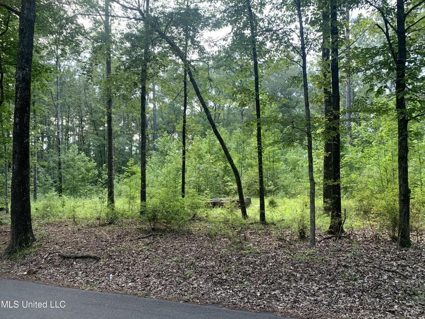 Brandon, Rankin County, MS Undeveloped Land, Homesites for sale