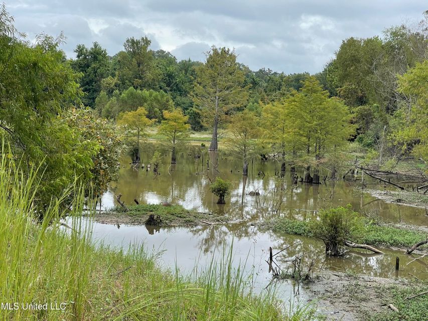 Florence, Rankin County, MS Undeveloped Land for sale Property ID