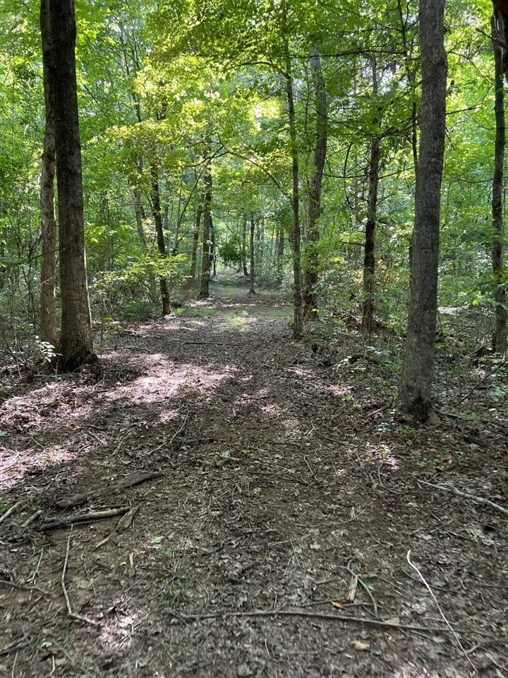 Scottsville, Allen County, KY Undeveloped Land, Lakefront Property