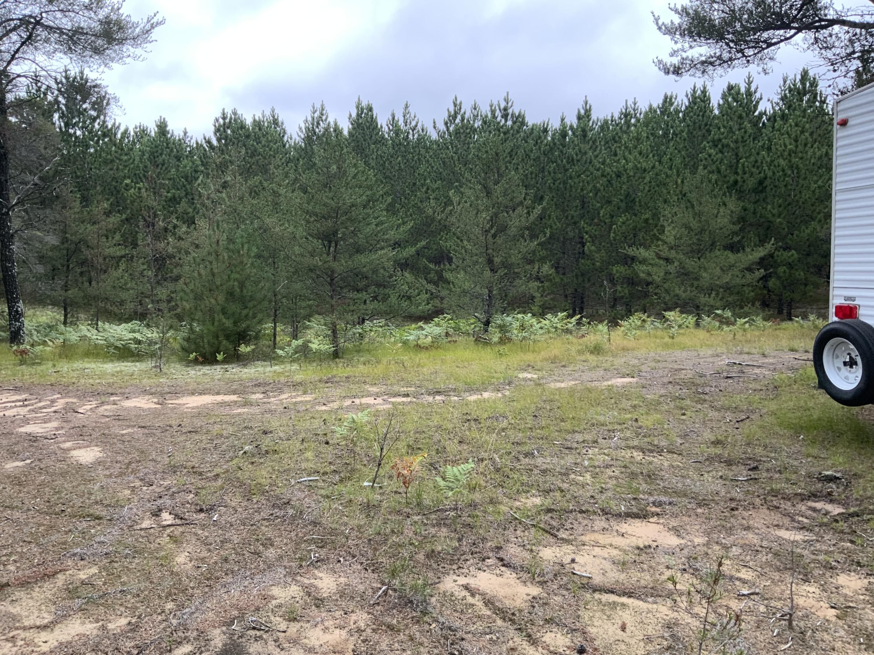 Grayling, Crawford County, MI Undeveloped Land for sale Property ID